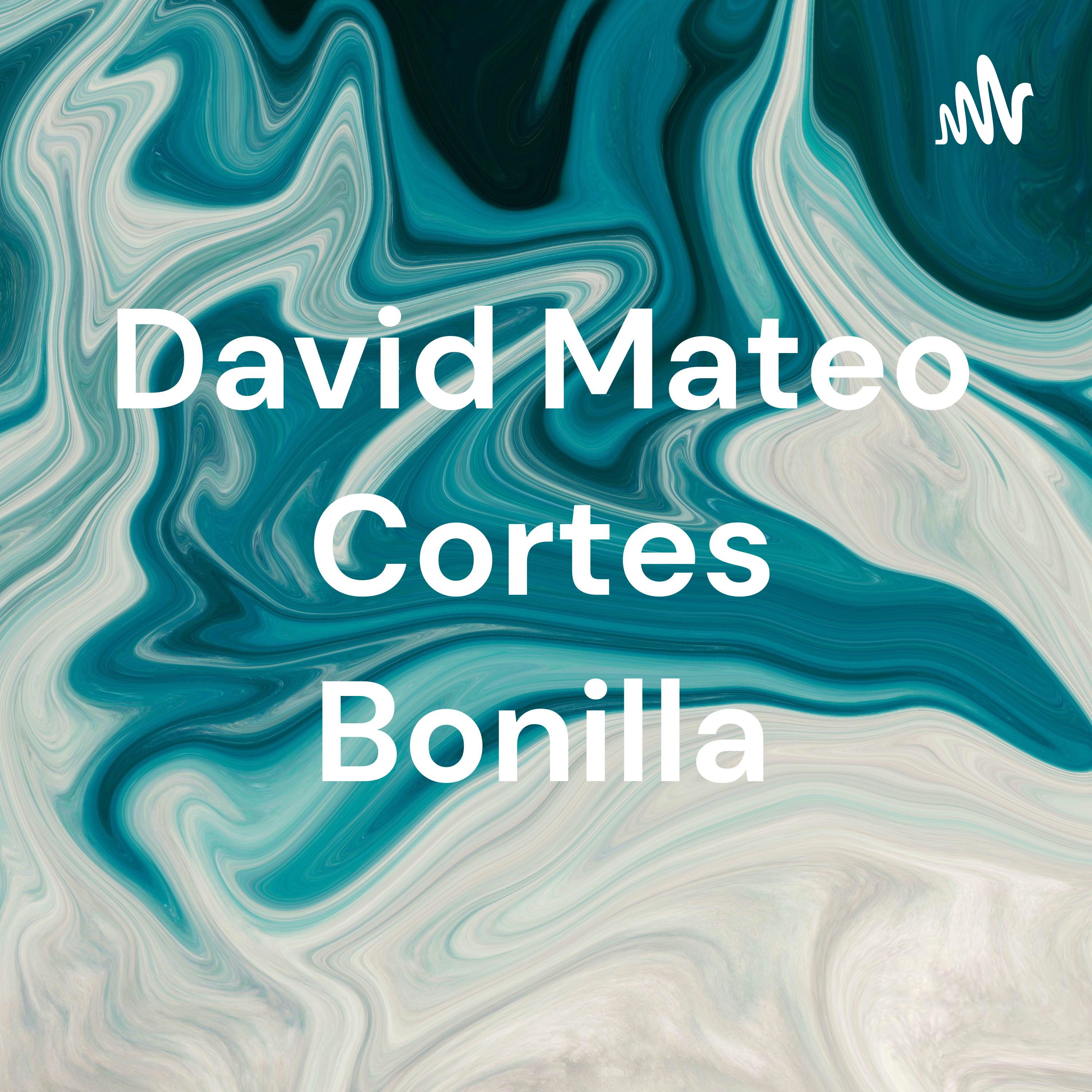 David Mateo Cortes Bonilla cover art