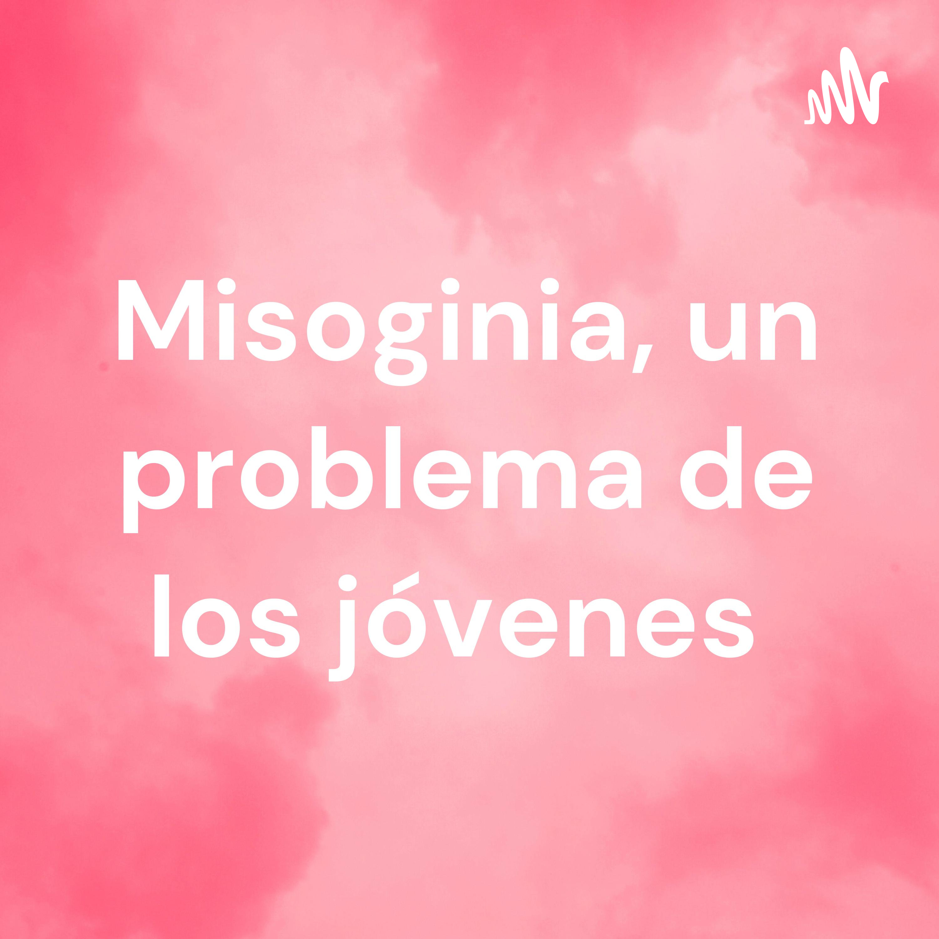 Misoginia, un problema de los jóvenes cover art