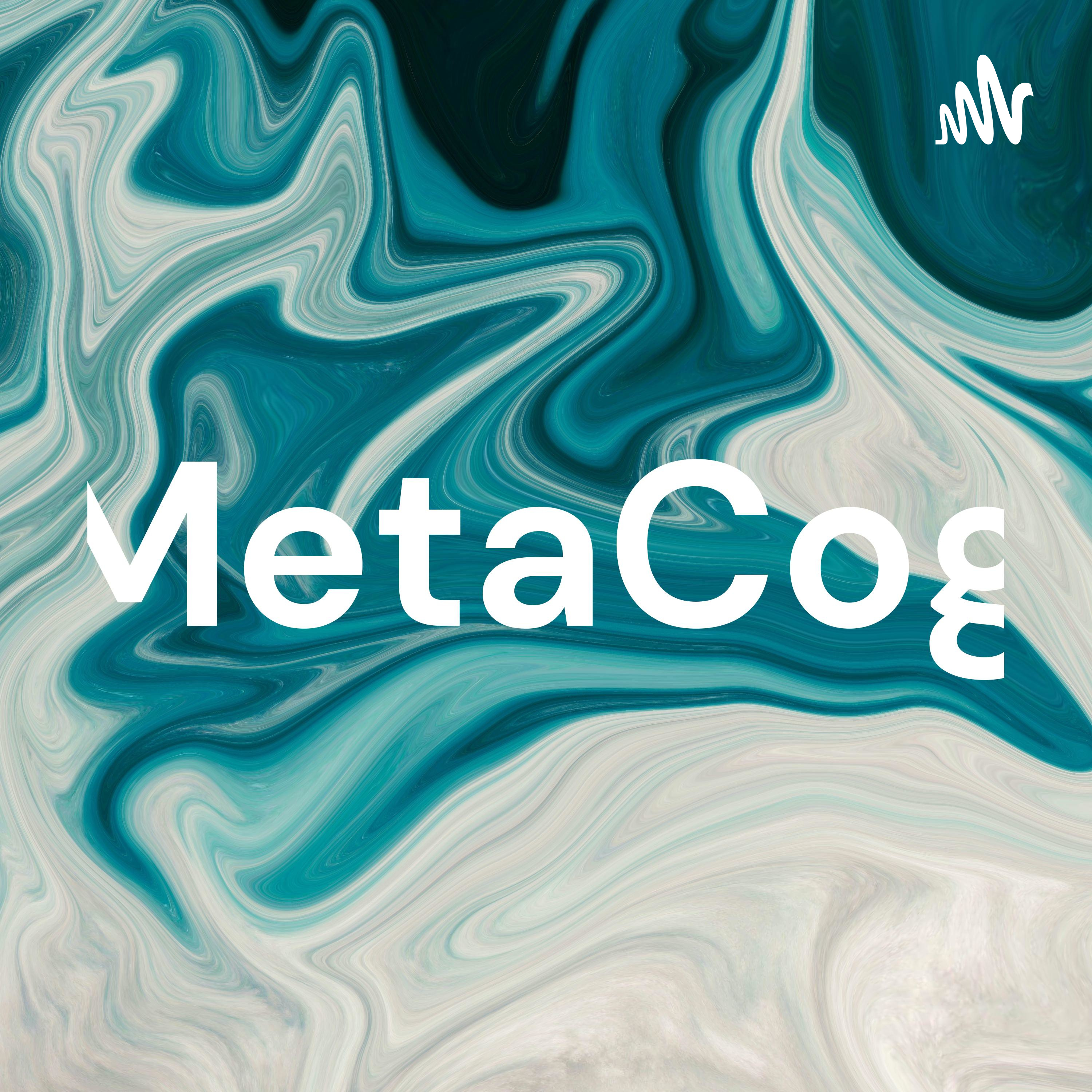 MetaCog cover art