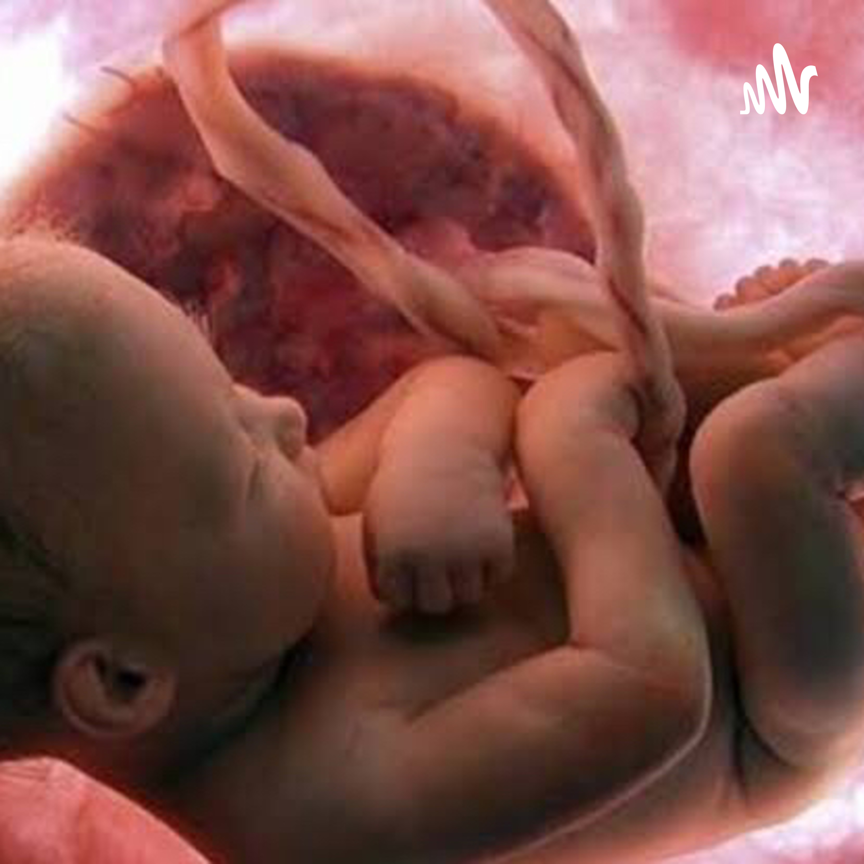 ...Elige...!! VIDA O MUERTE...? cover art