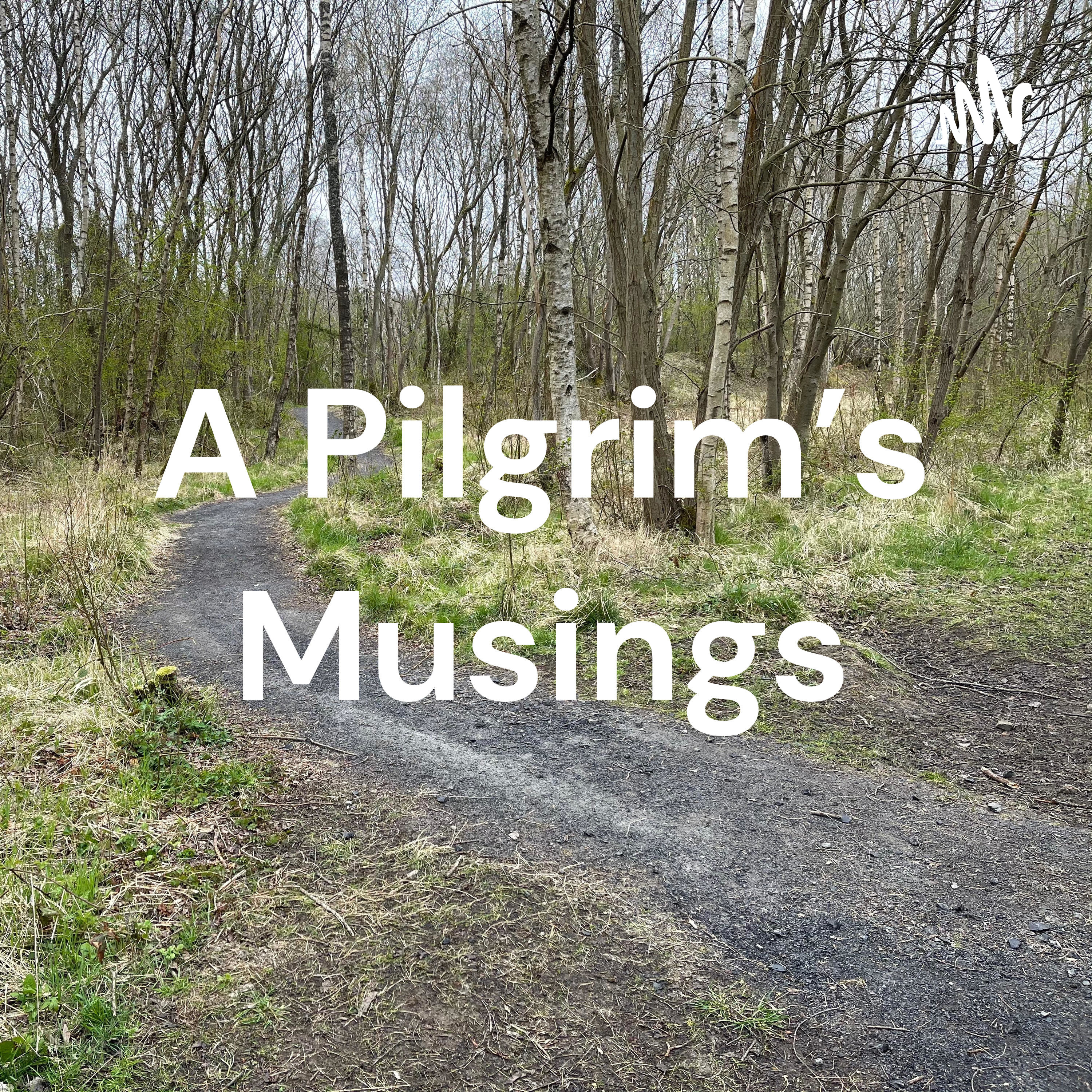 A Pilgrim's Musings