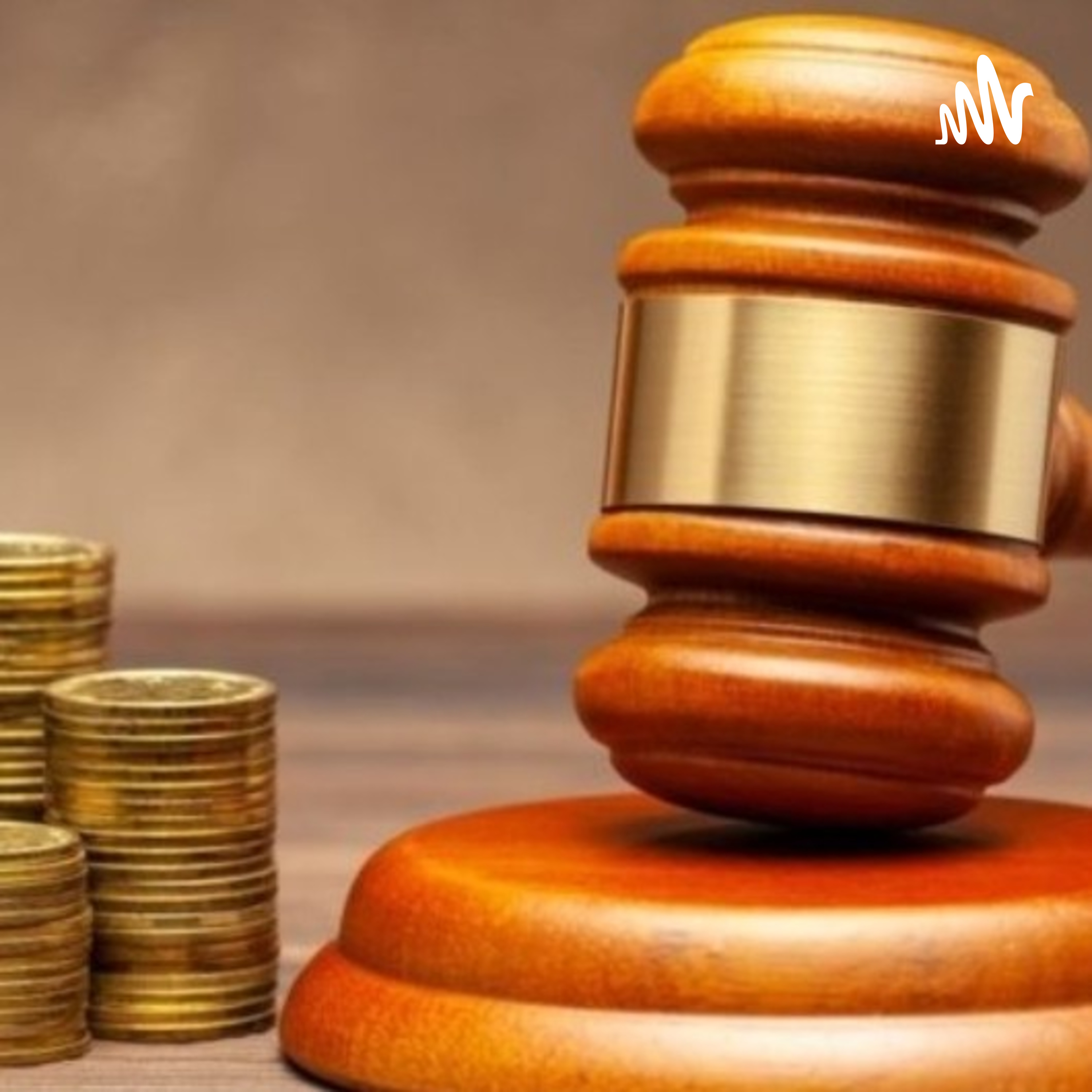 Principios Constitucionales Y Presupuesto De Egresos