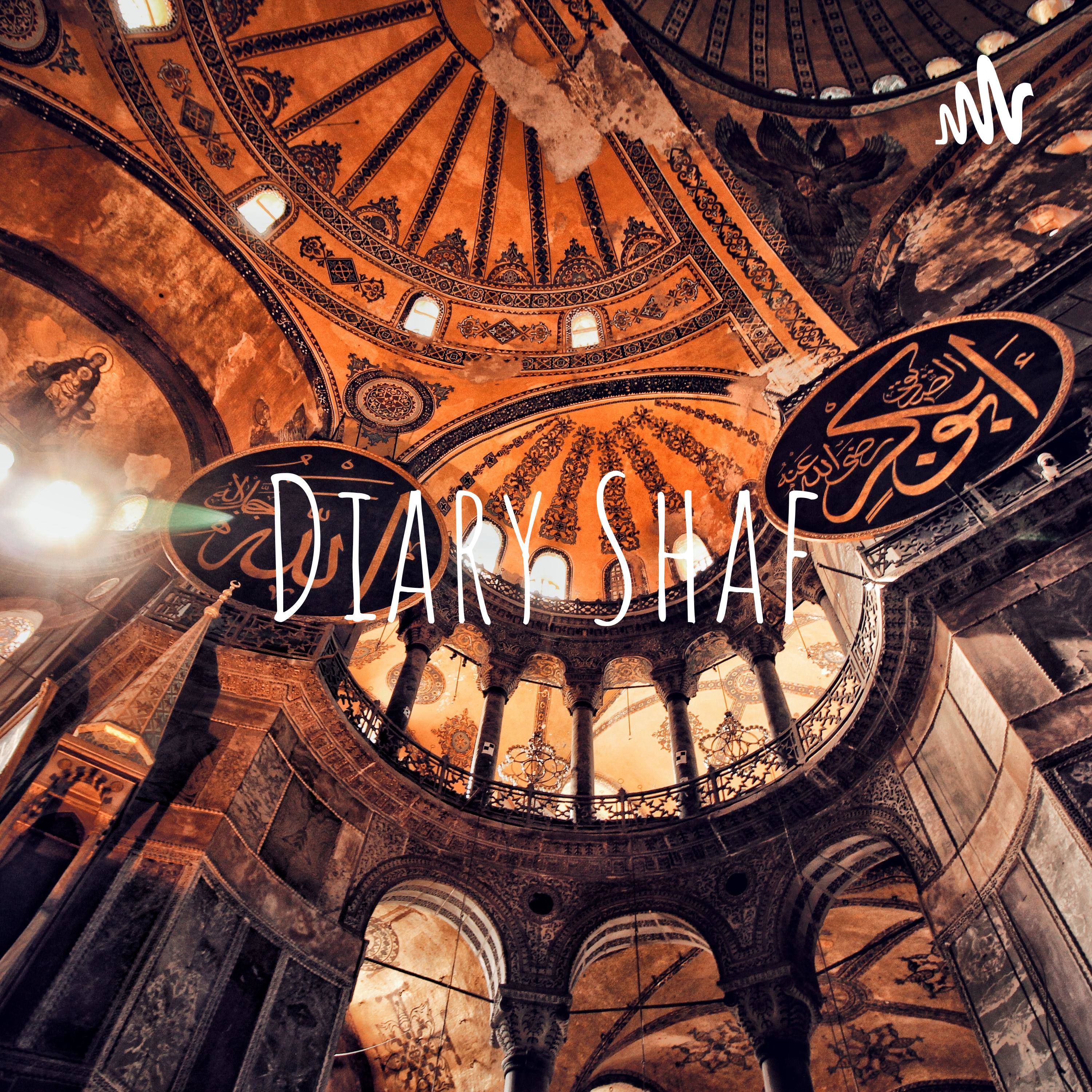 Diary Shaf cover