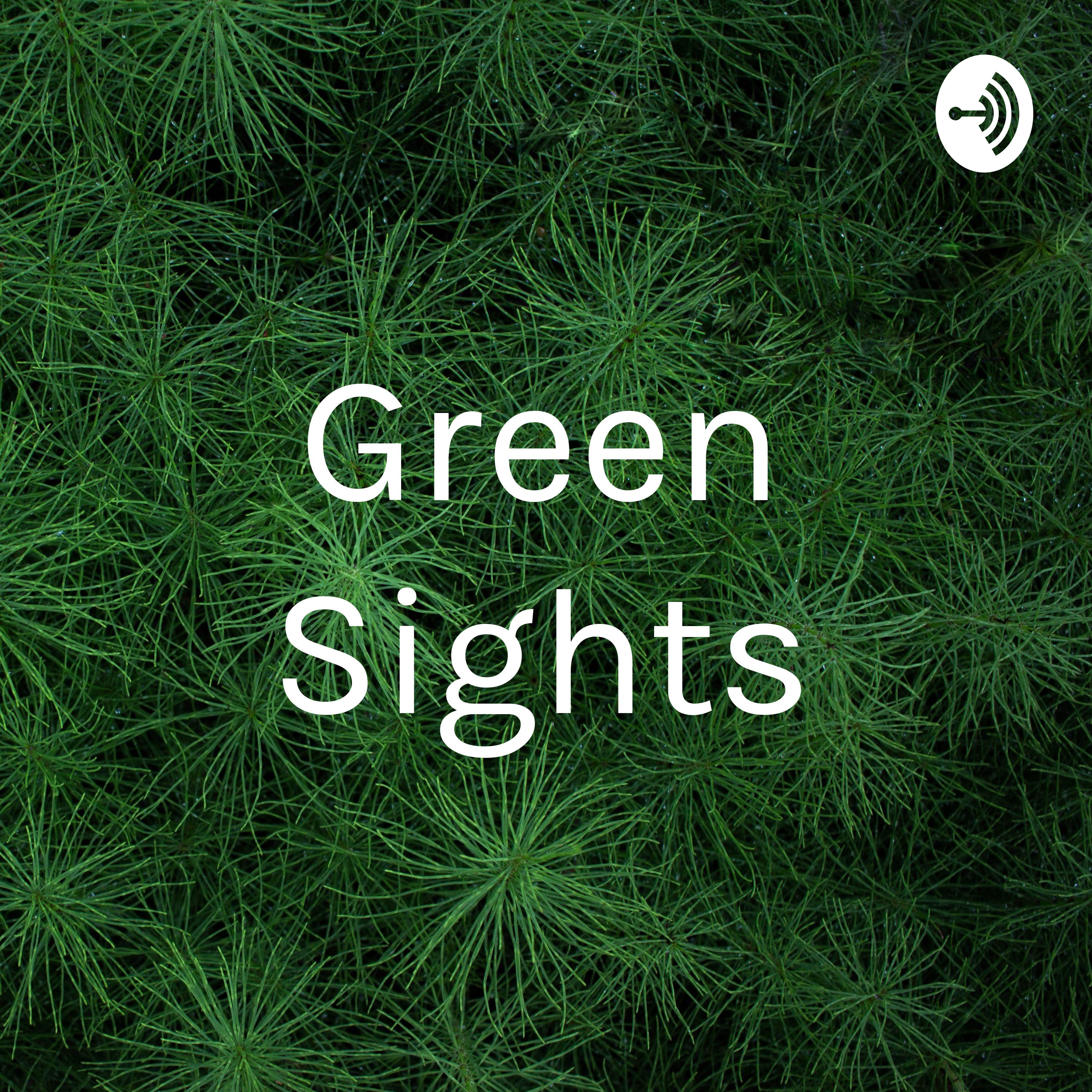 Green InSights