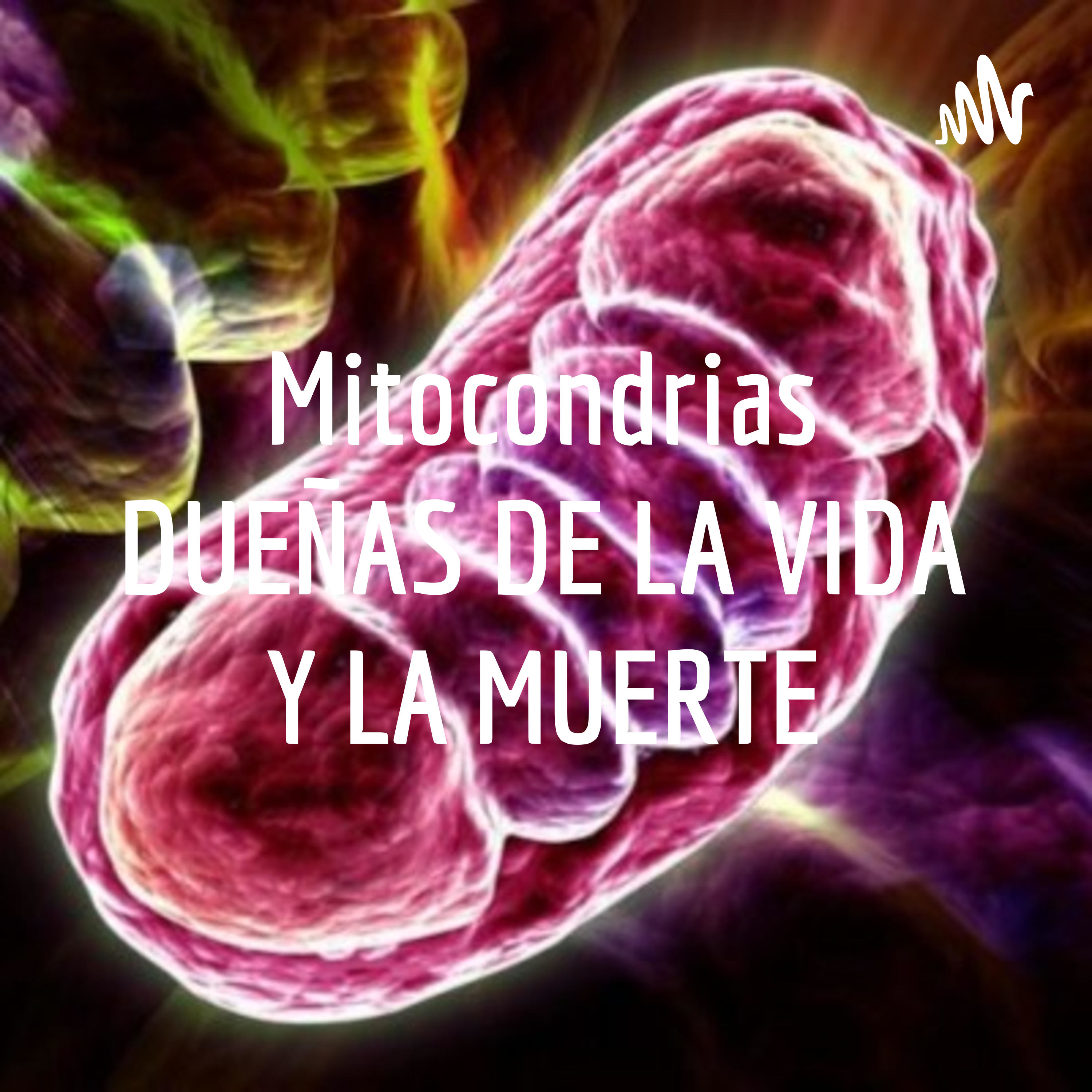 Mitocondrias DUEÑAS DE LA VIDA Y LA MUERTE