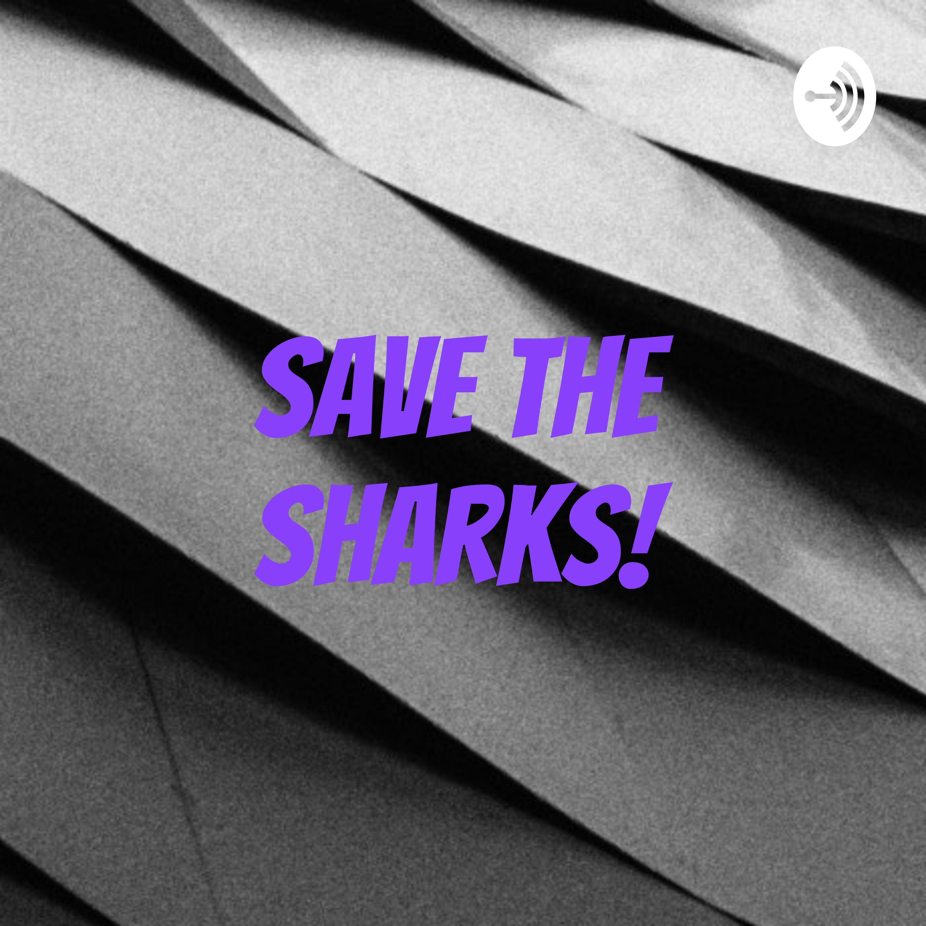 Save the Sharks!