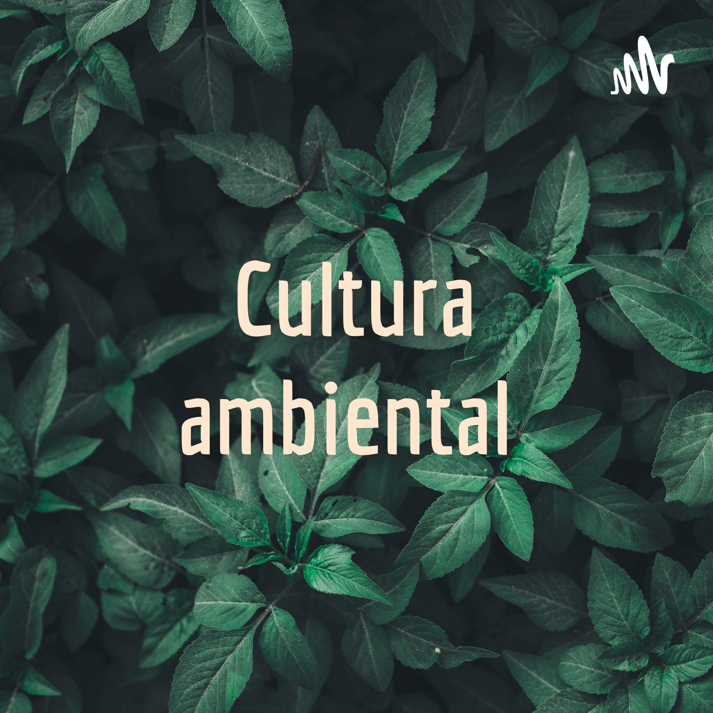 Cultura ambiental 