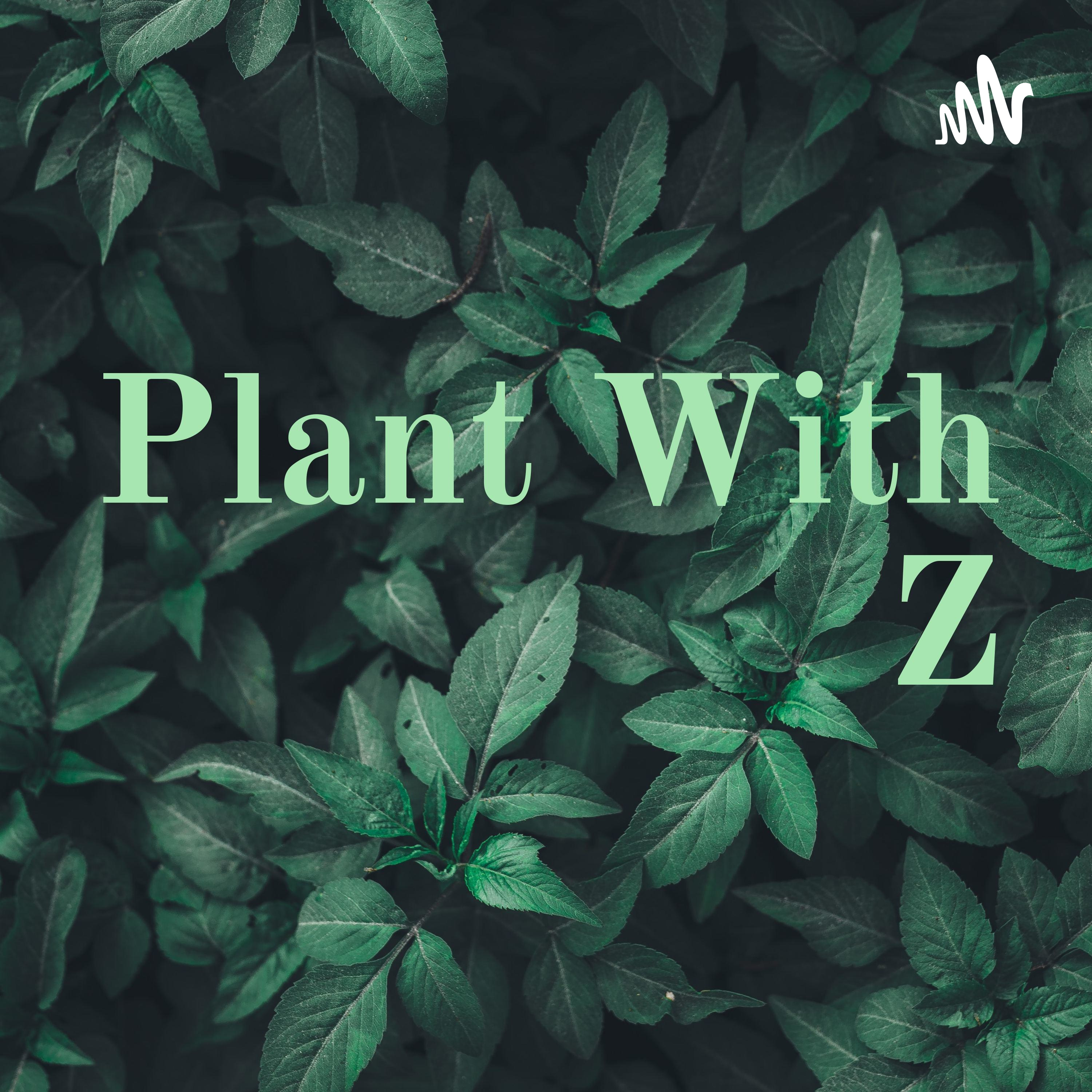 Plant With Z