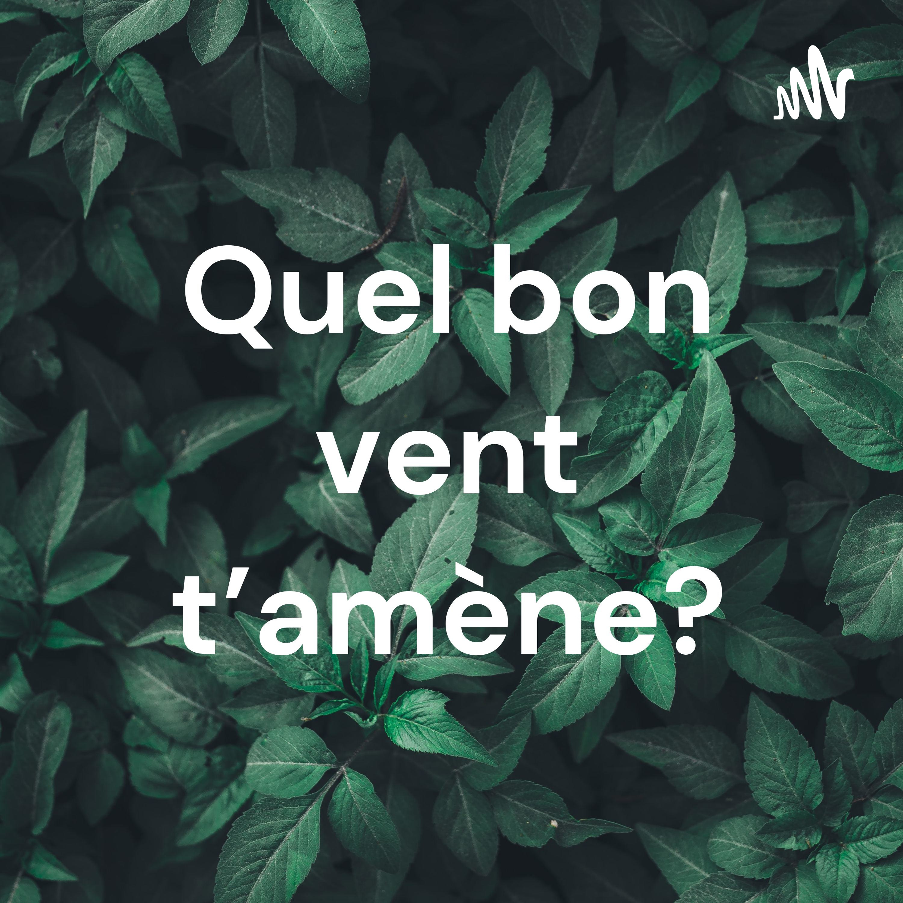 Quel bon vent t’amène? podcast artwork