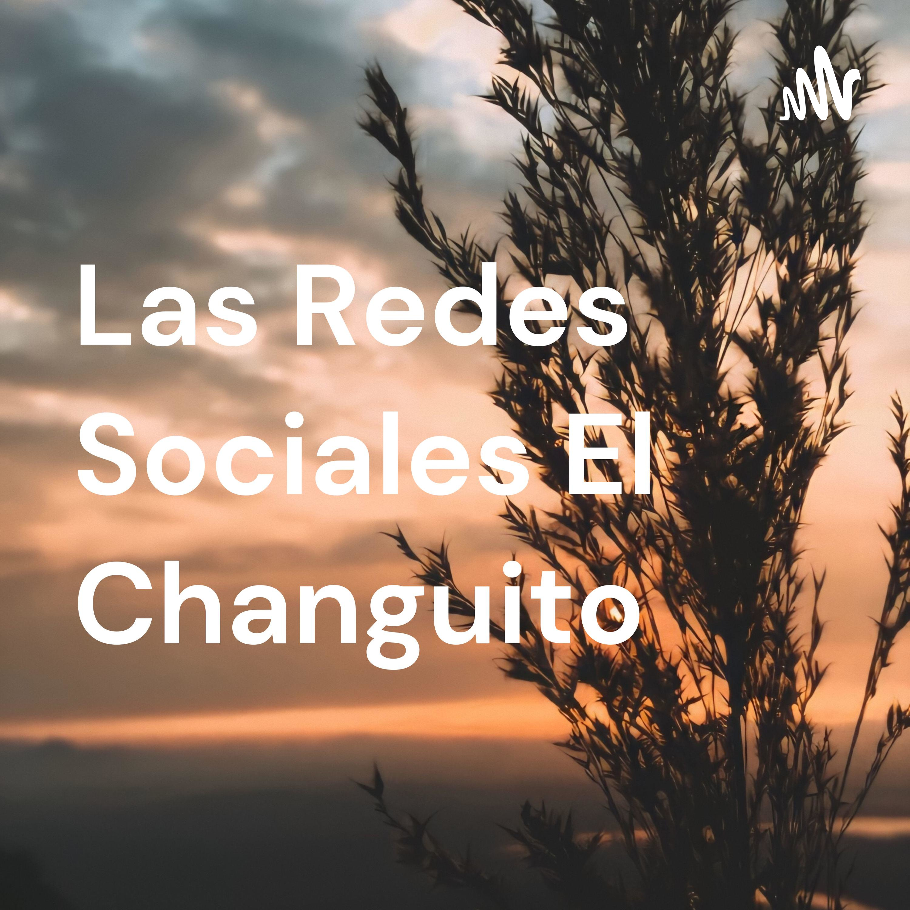 Las Redes Sociales El Changuito
