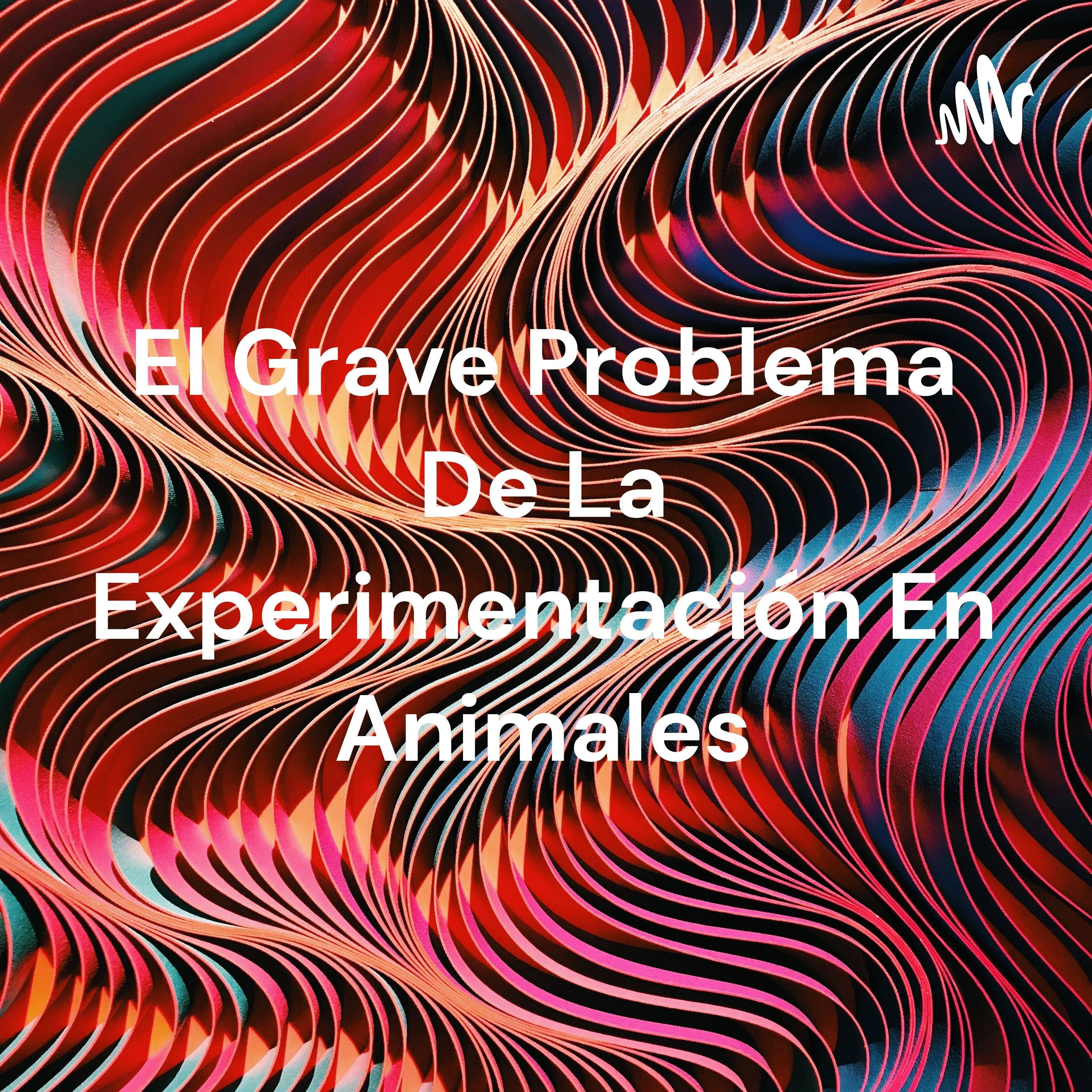 El Grave Problema De La Experimentación En Animales cover art