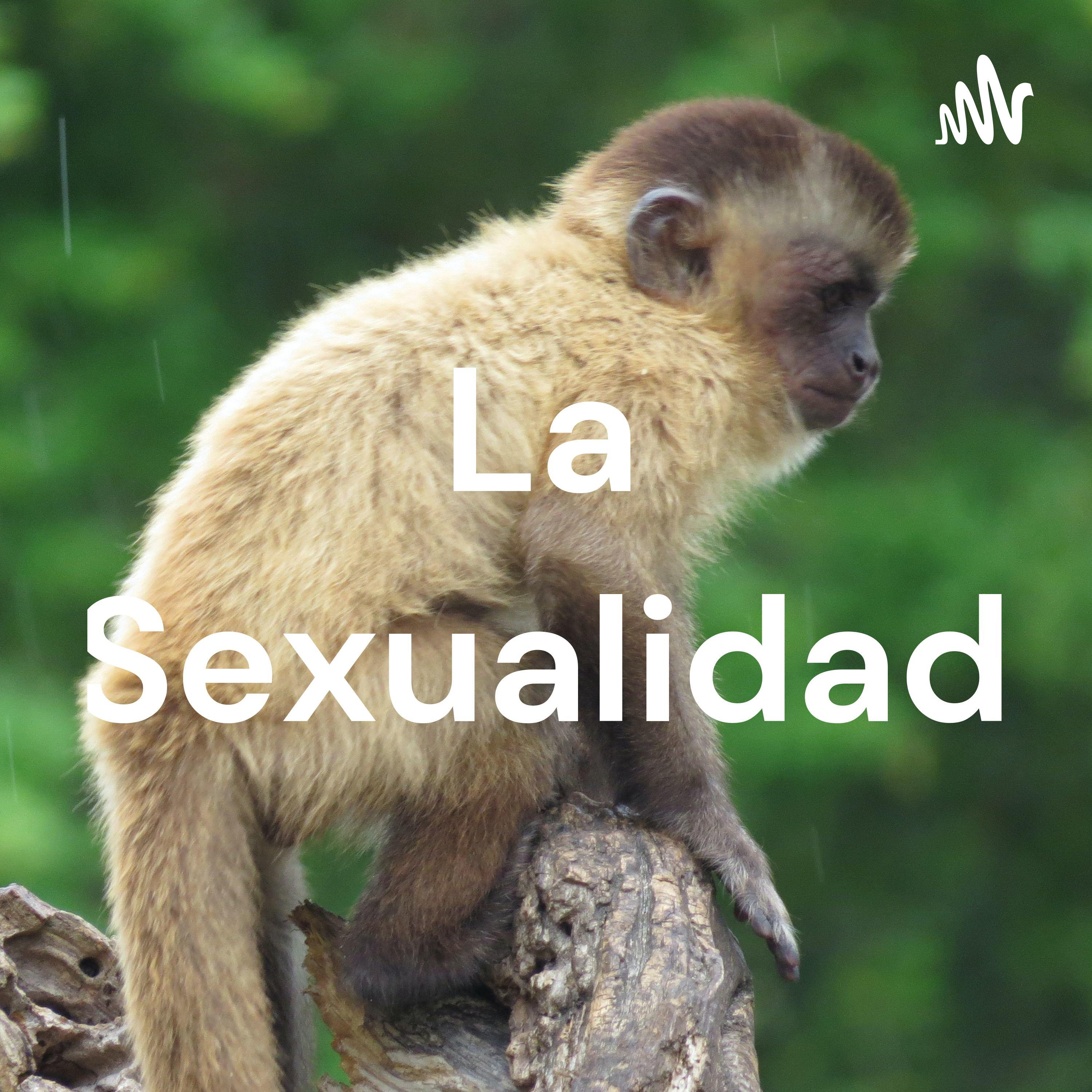La Sexualidad cover art