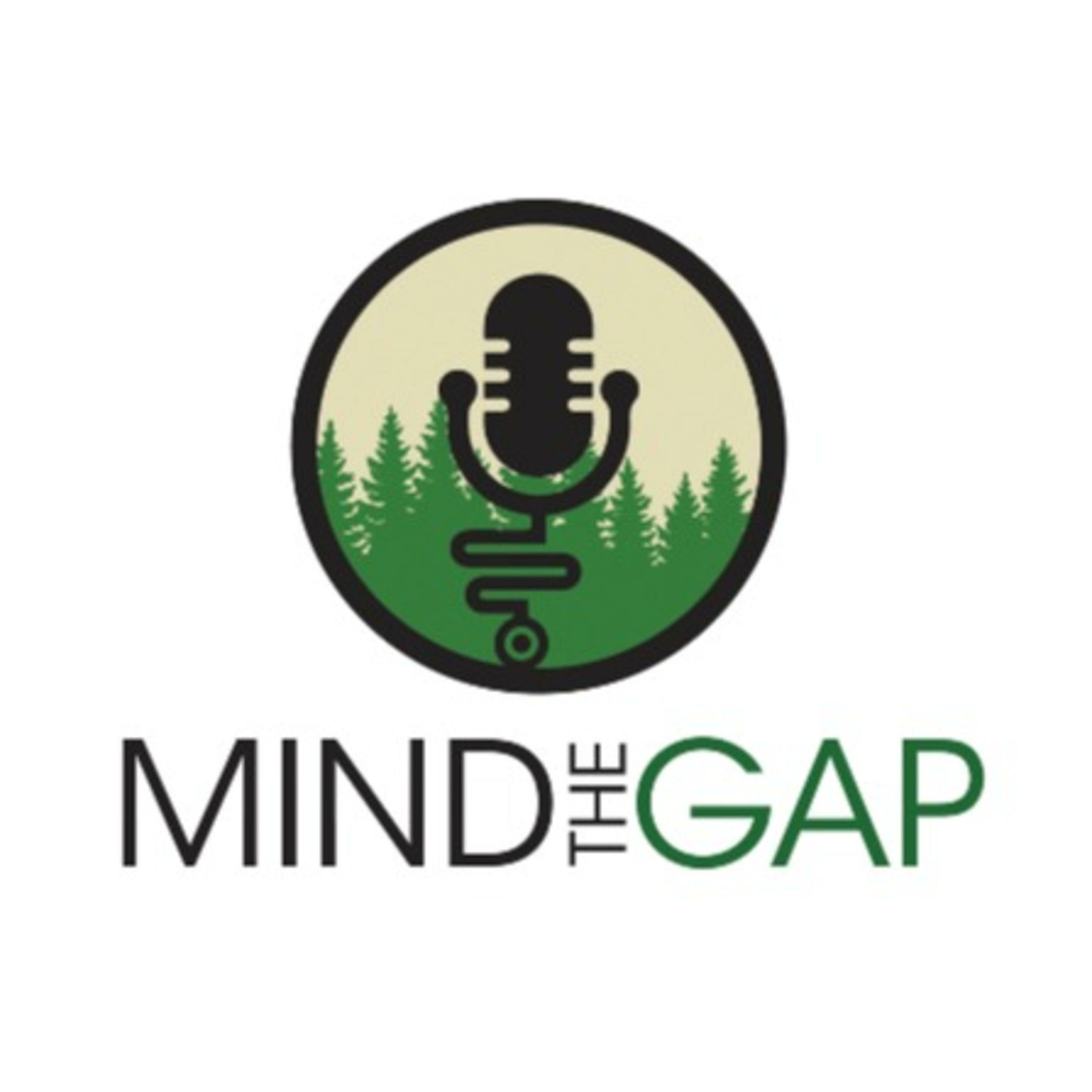 Mind the Gap: Finding Your Path to Medicine