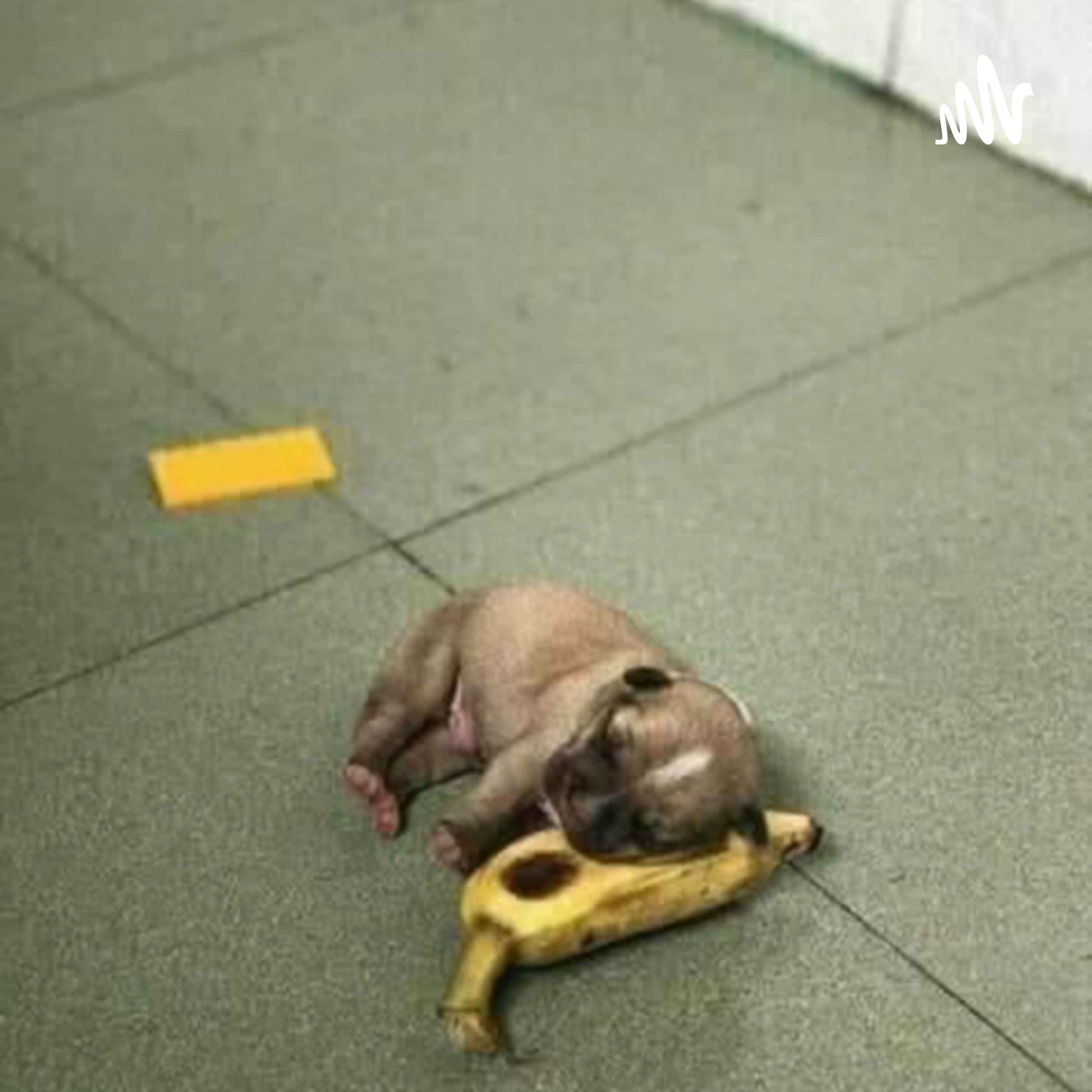 Punto de Vista de un Estudiante cover art