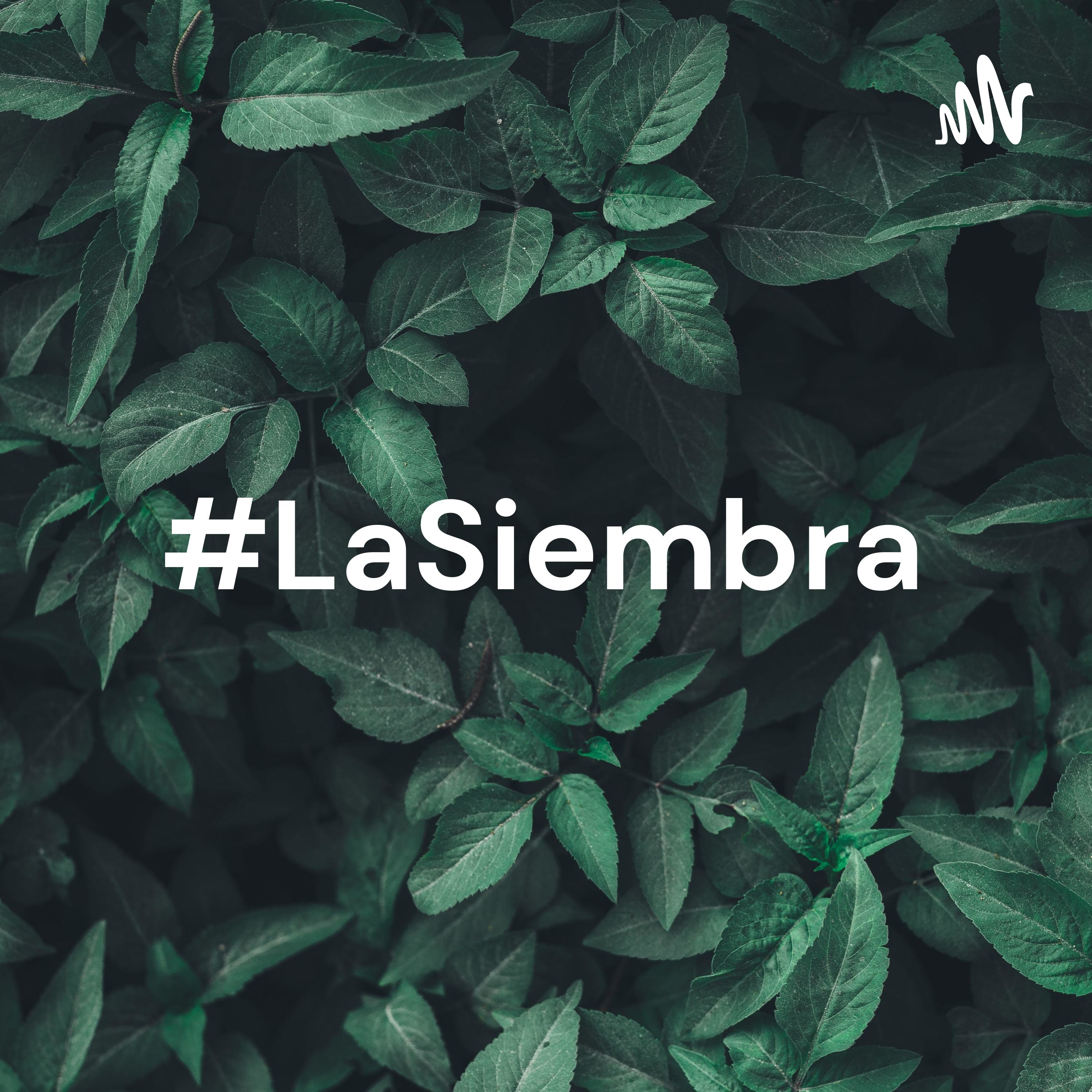 #LaSiembra: emprendimiento, medio ambiente y noticias de actualidad nacional e internacional.