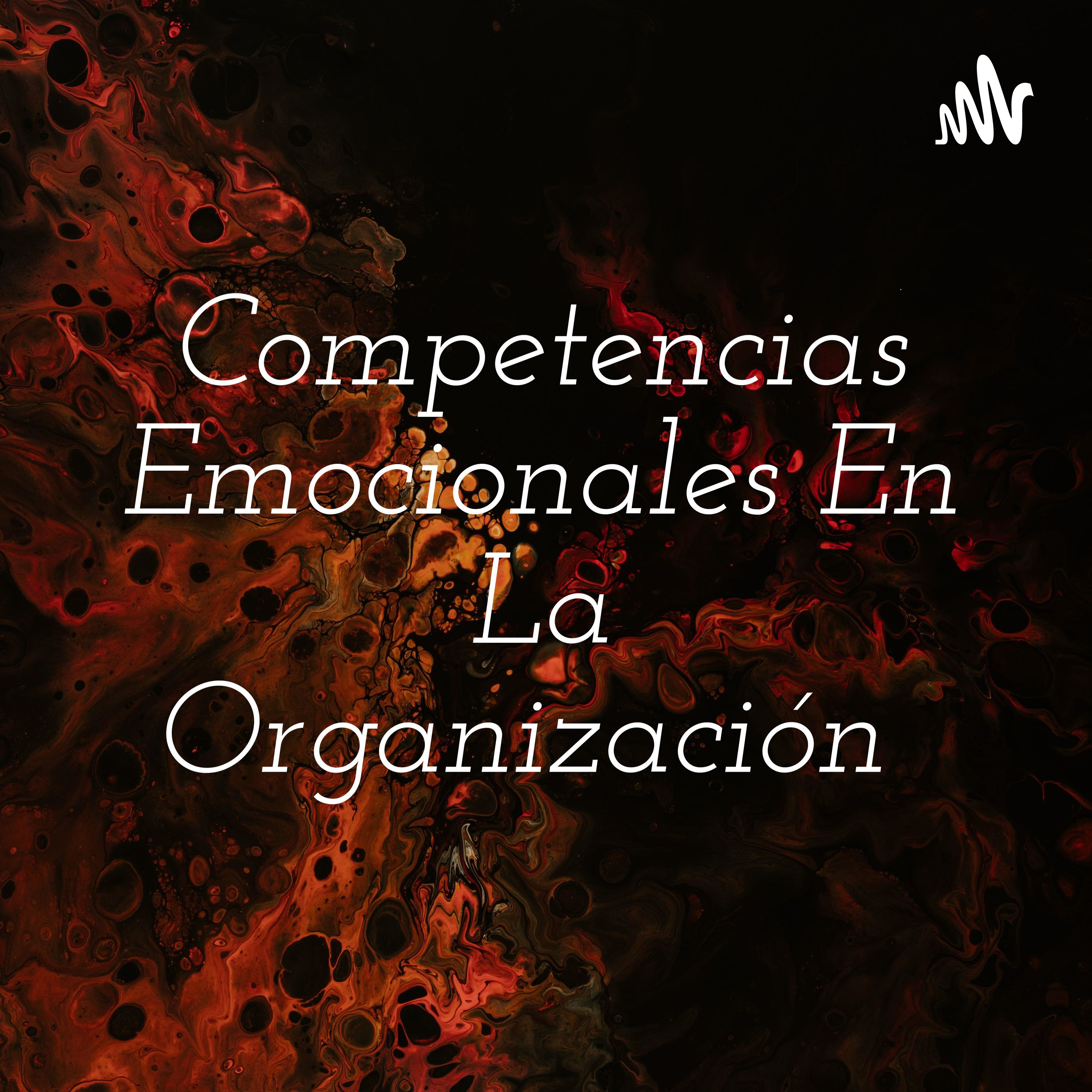 Competencias Emocionales En La Organización