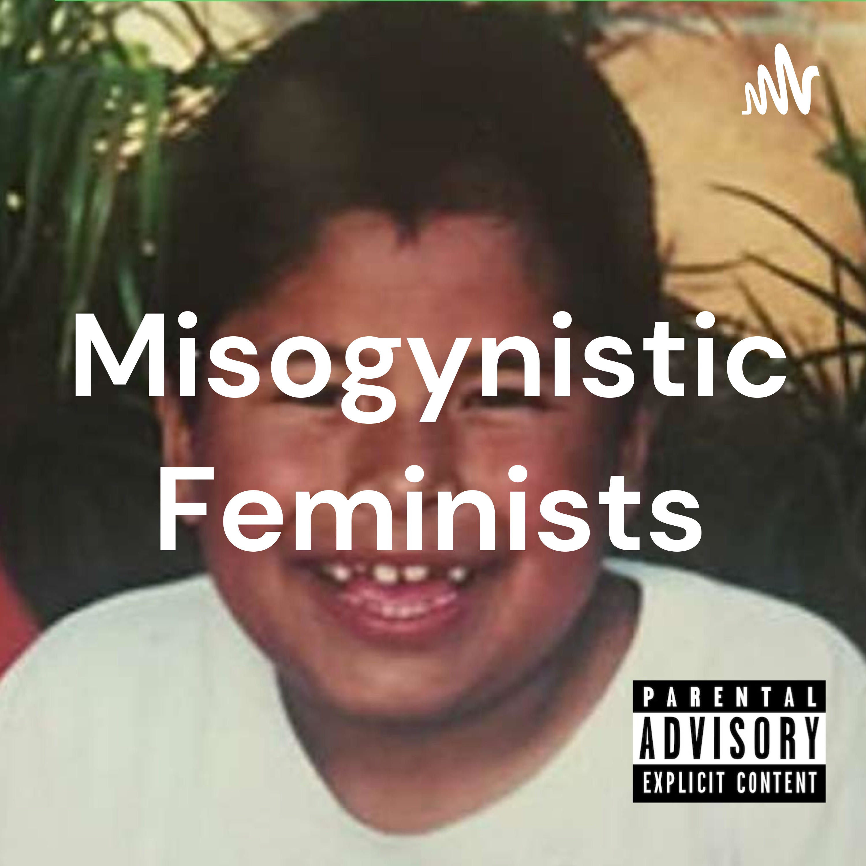 Misogynistic Feminists