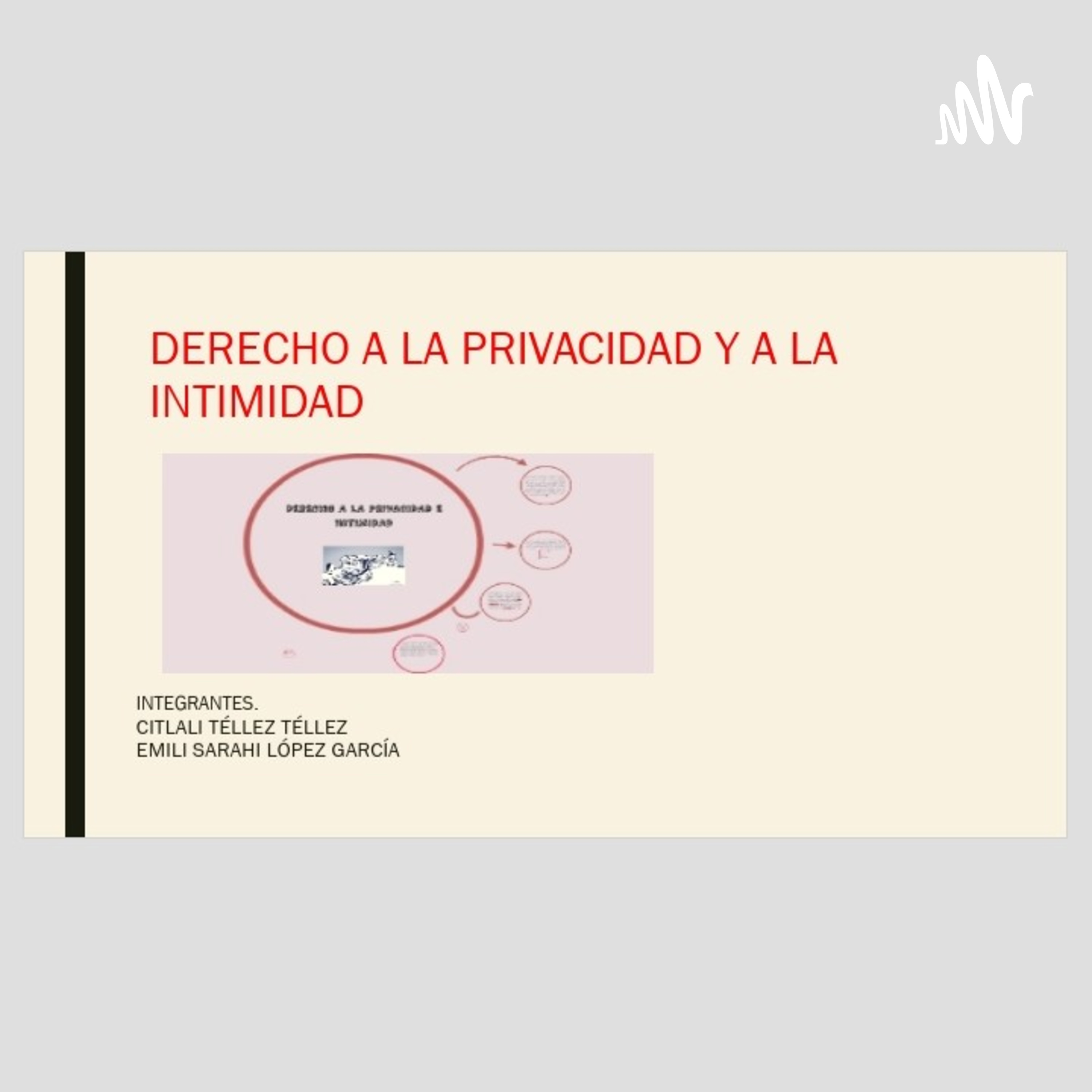 Derecho ala Intimidad y la Privacidad cover art