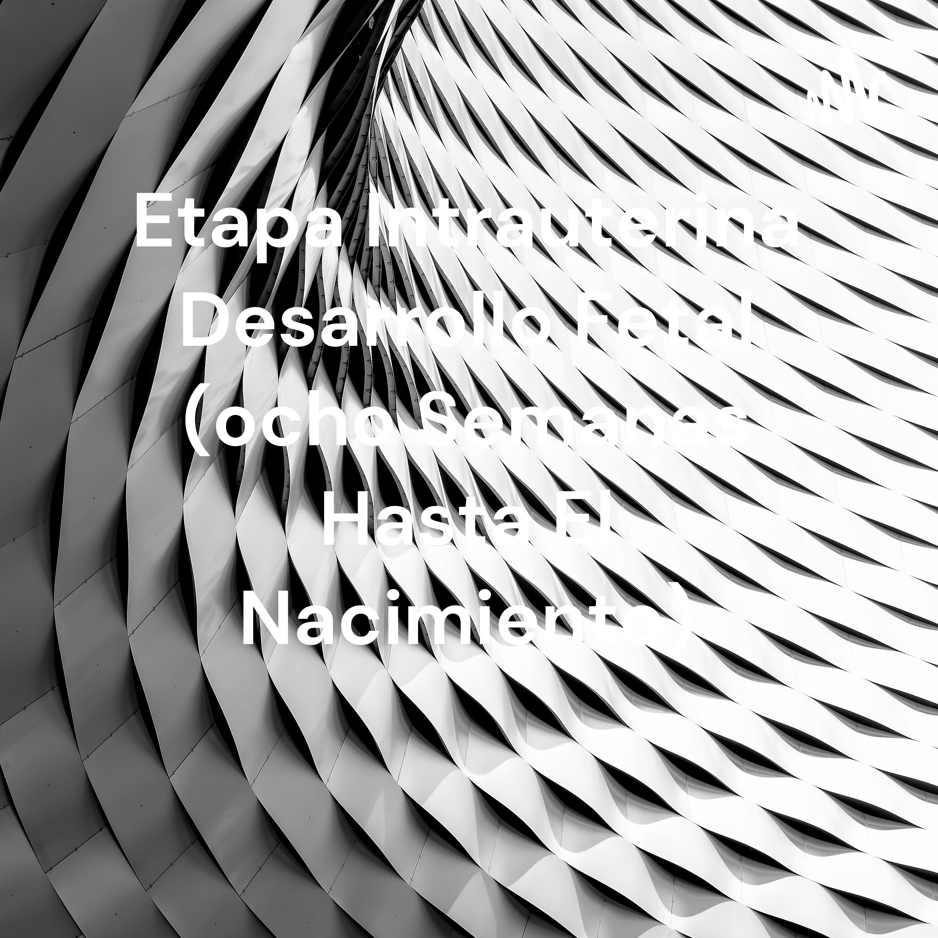 Etapa Intrauterina Desarrollo Fetal (ocho Semanas Hasta El Nacimiento) 