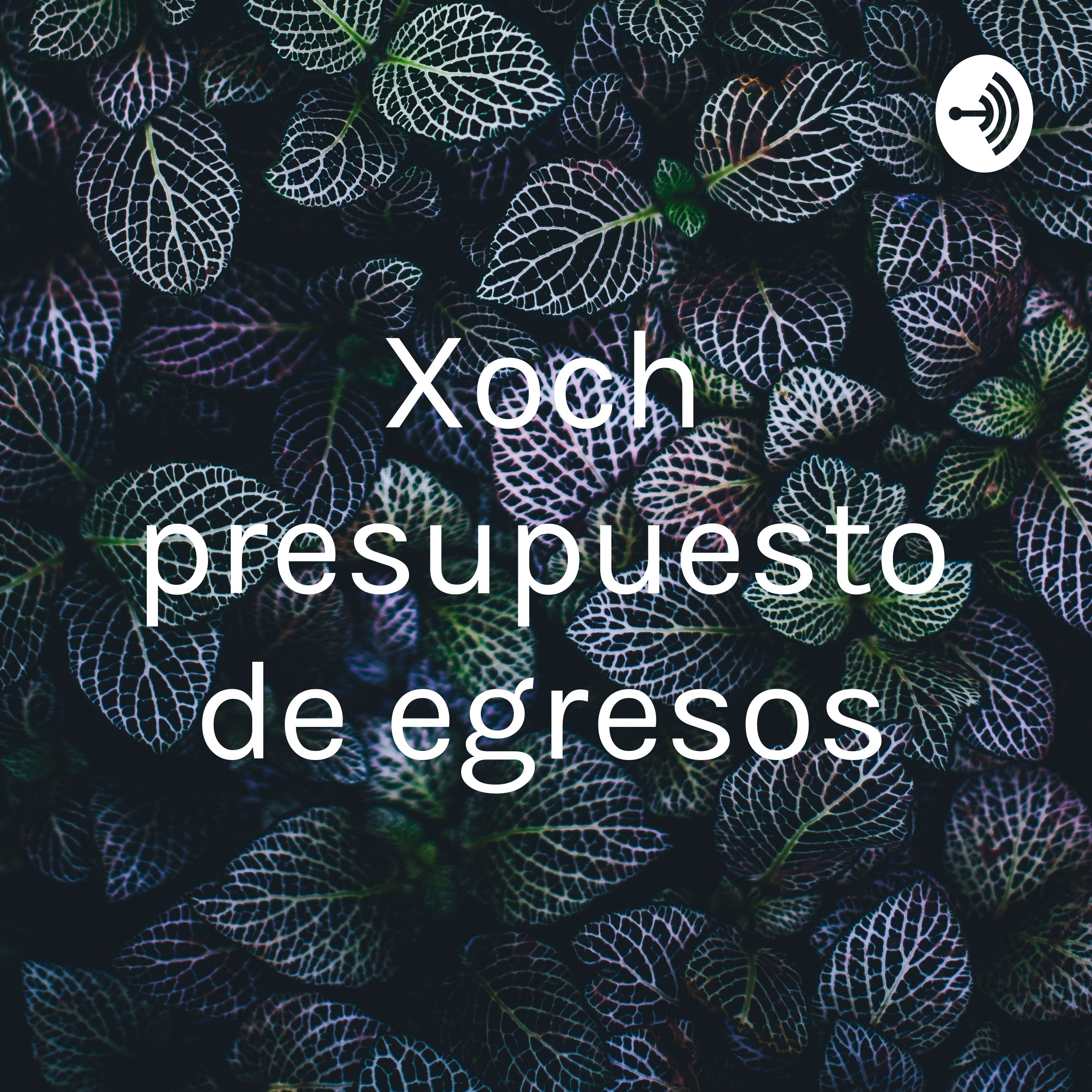 Xoch presupuesto de egresos