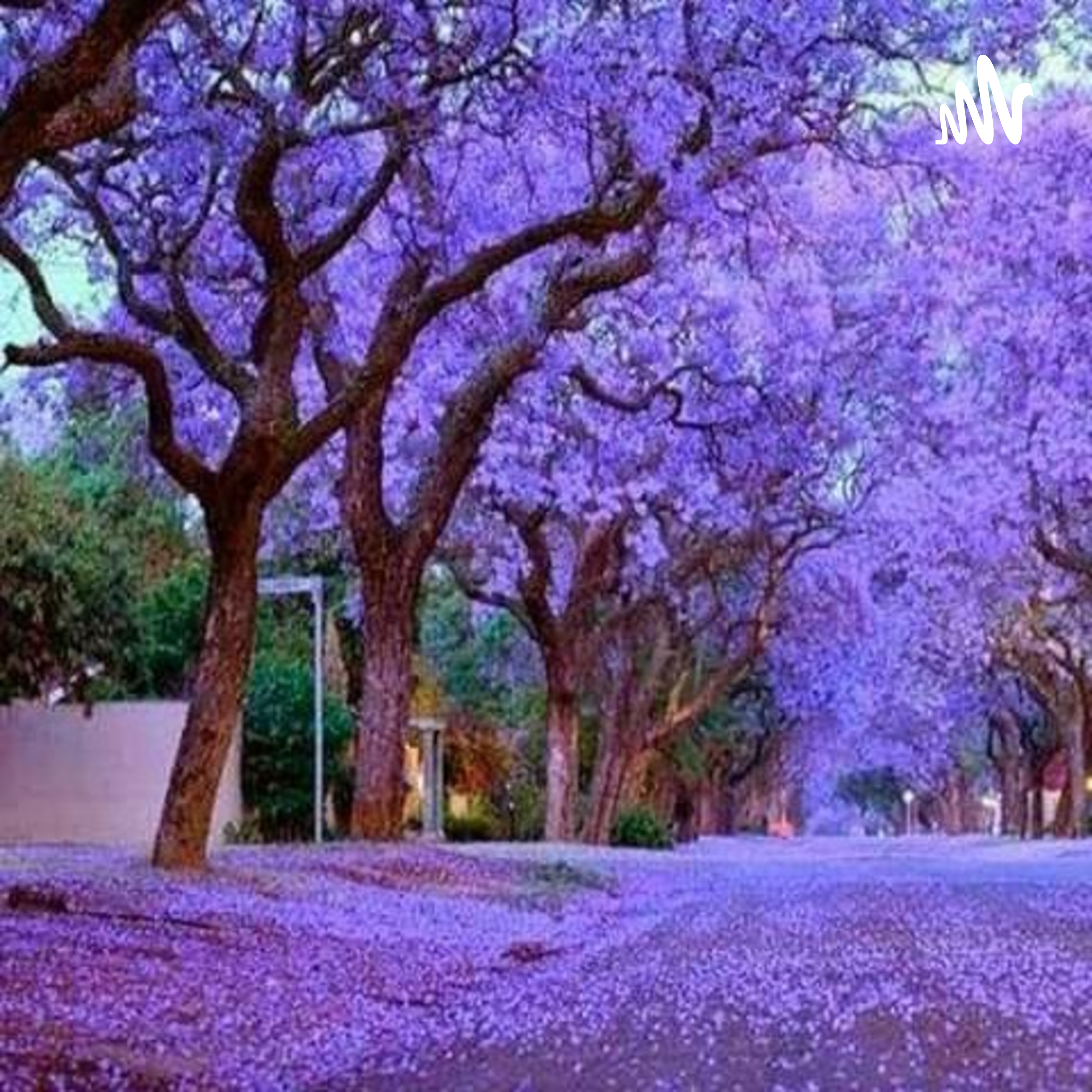 PSICOLOGIA INDUSTRIAL ORGANIZACIONAL