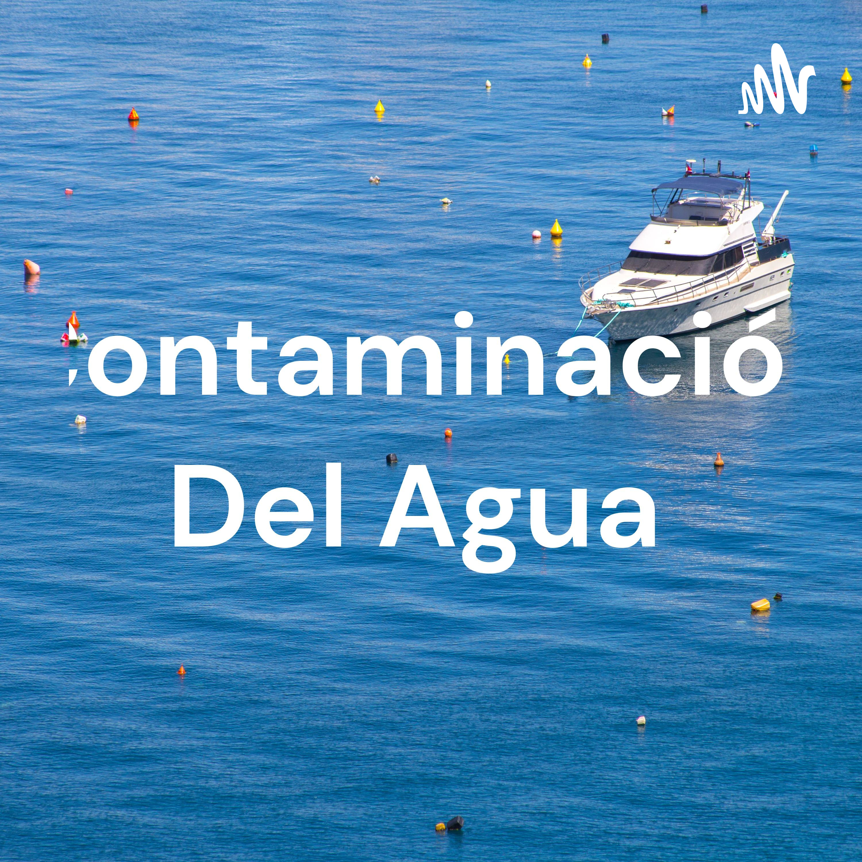 Contaminación Del Agua