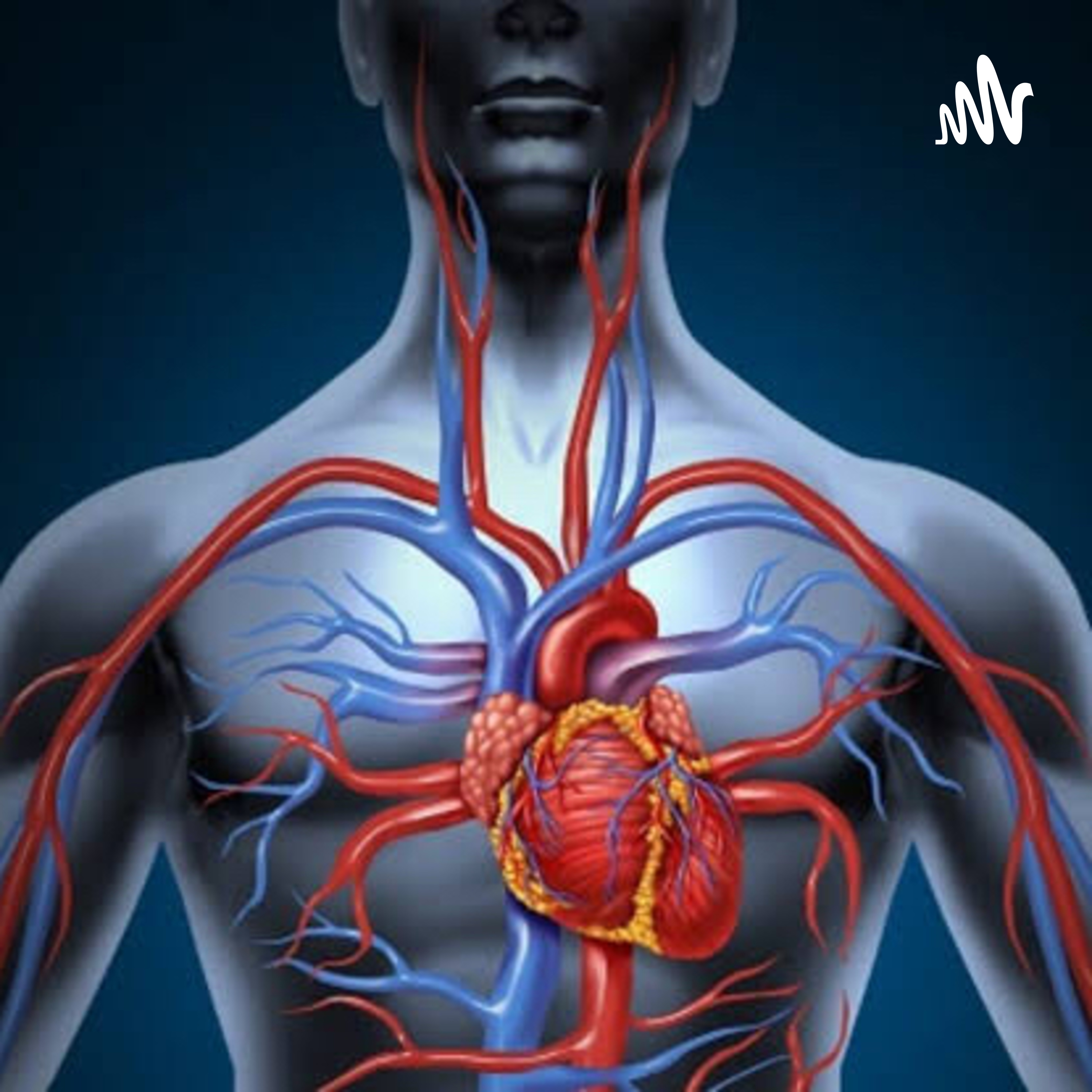 Sistema Cardiovascular podcast artwork