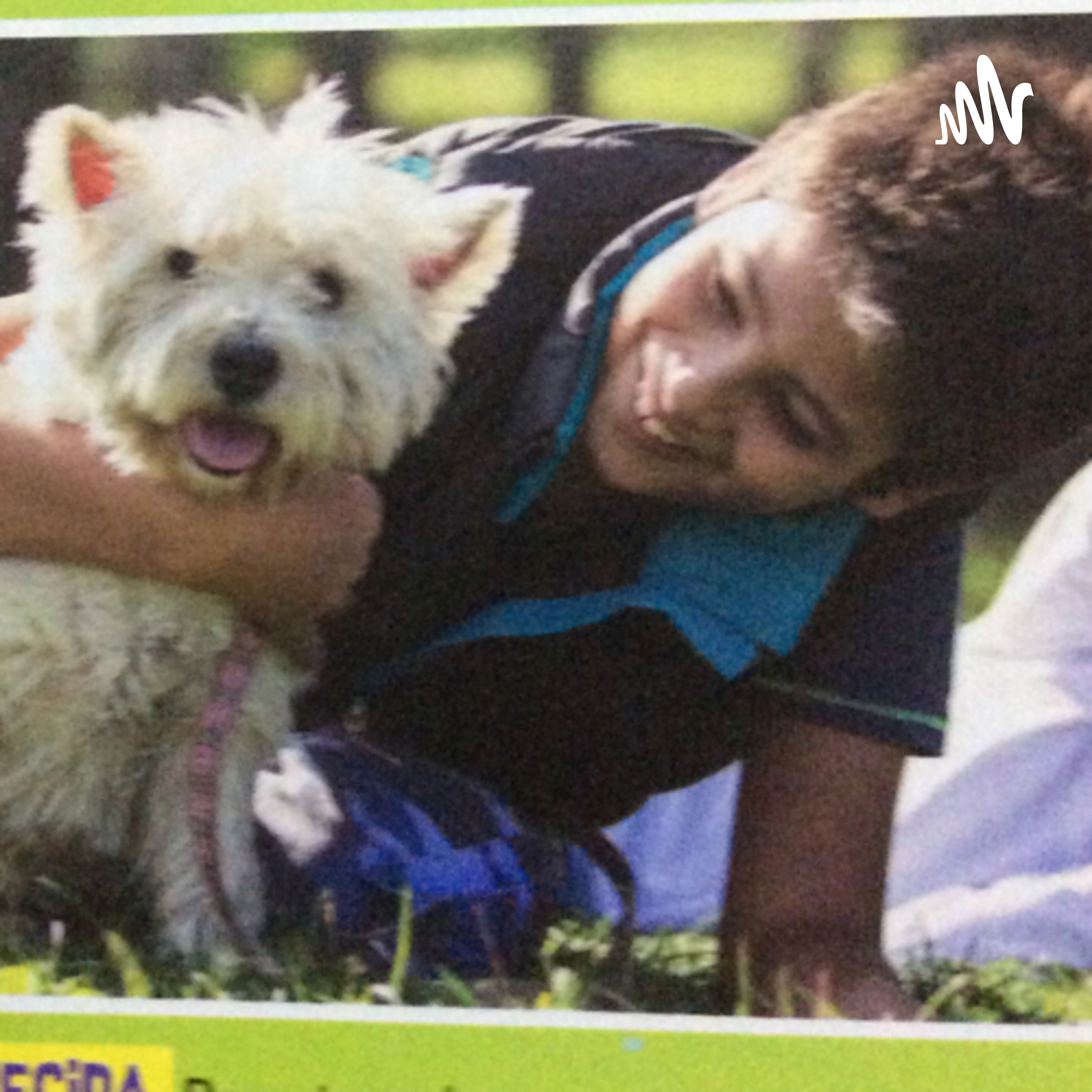 Animales amigos cover art