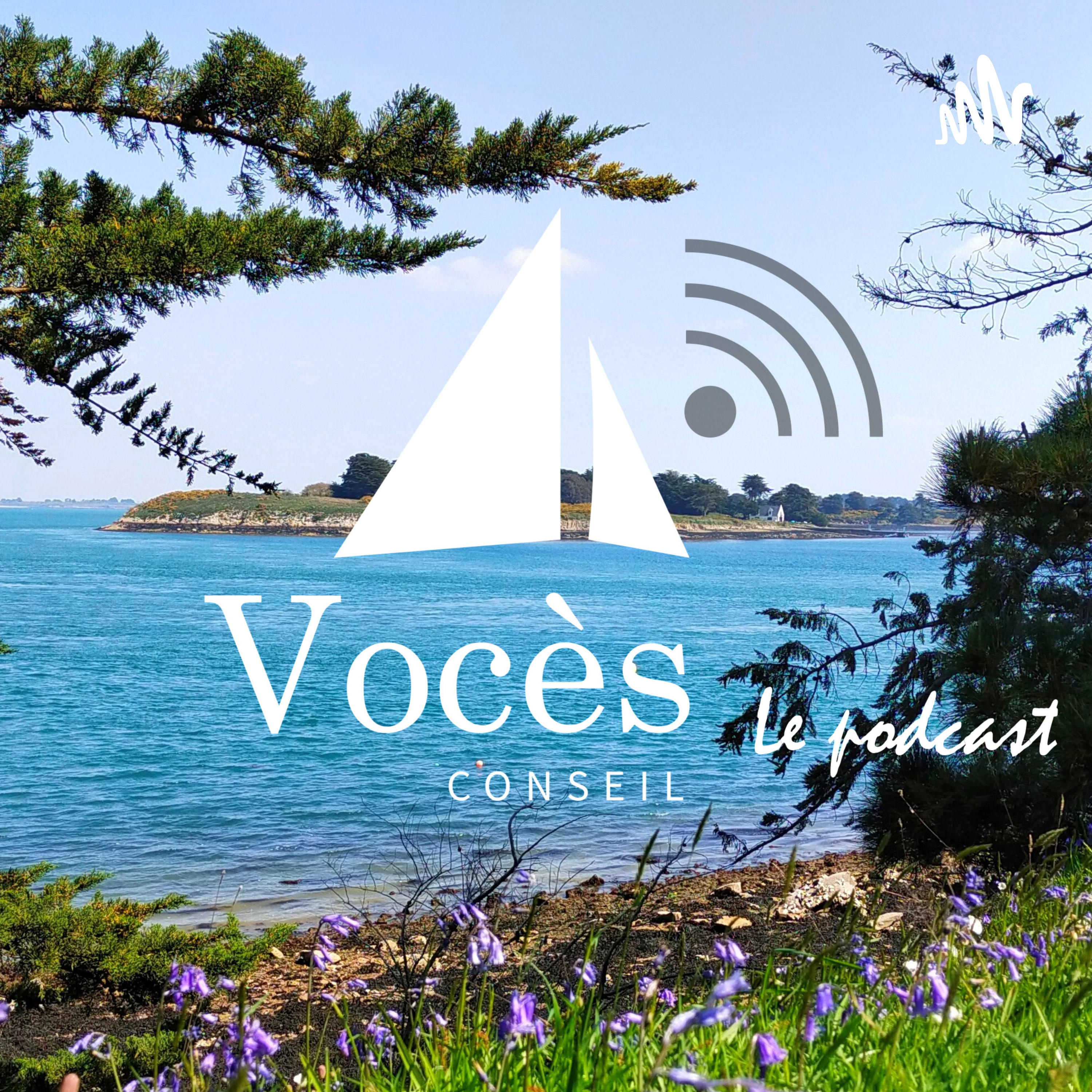 Vocès Conseil - Le podcast cover art