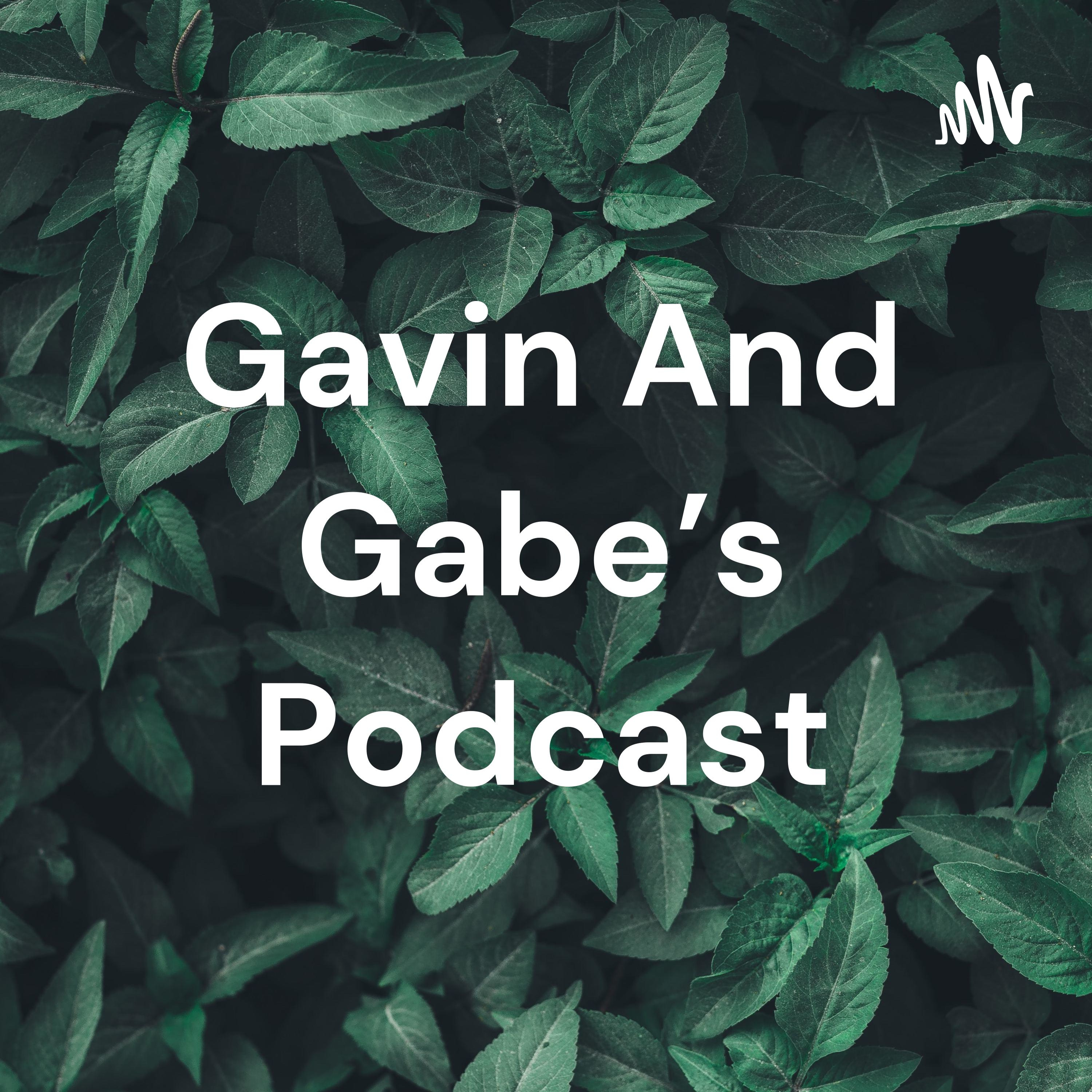 Gavin And Gabe's Podcast
