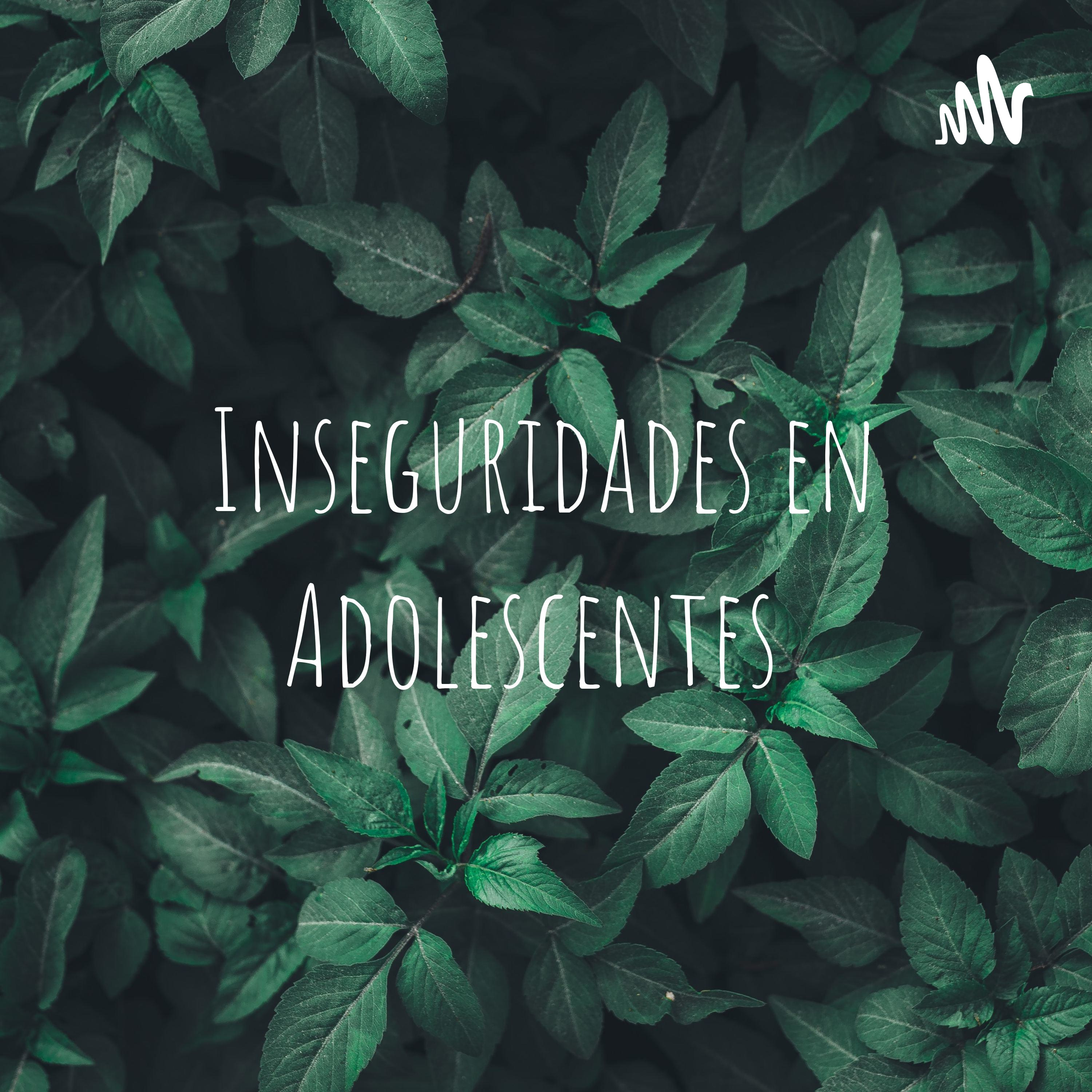 Inseguridades en Adolescentes 