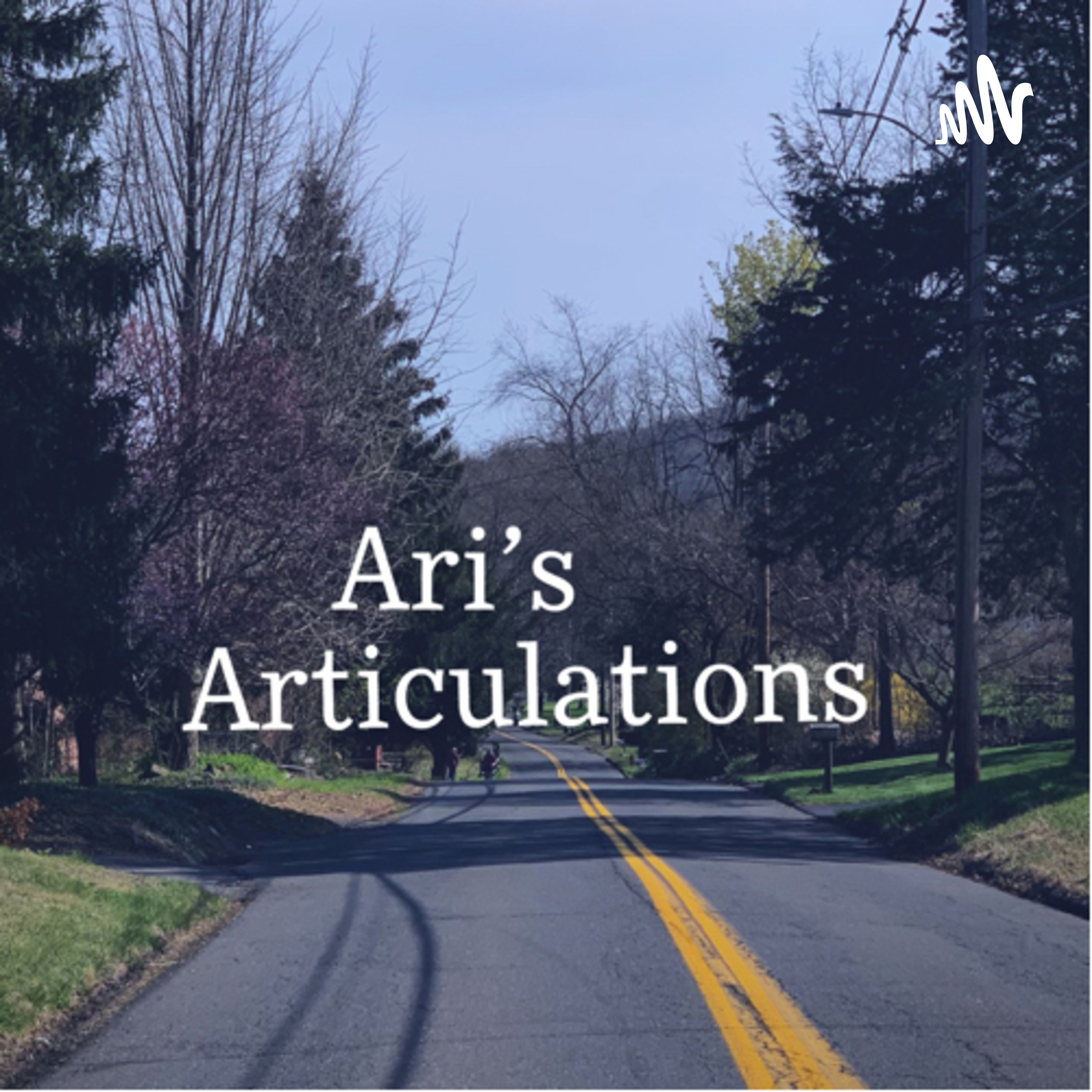 Ari’s Articulations