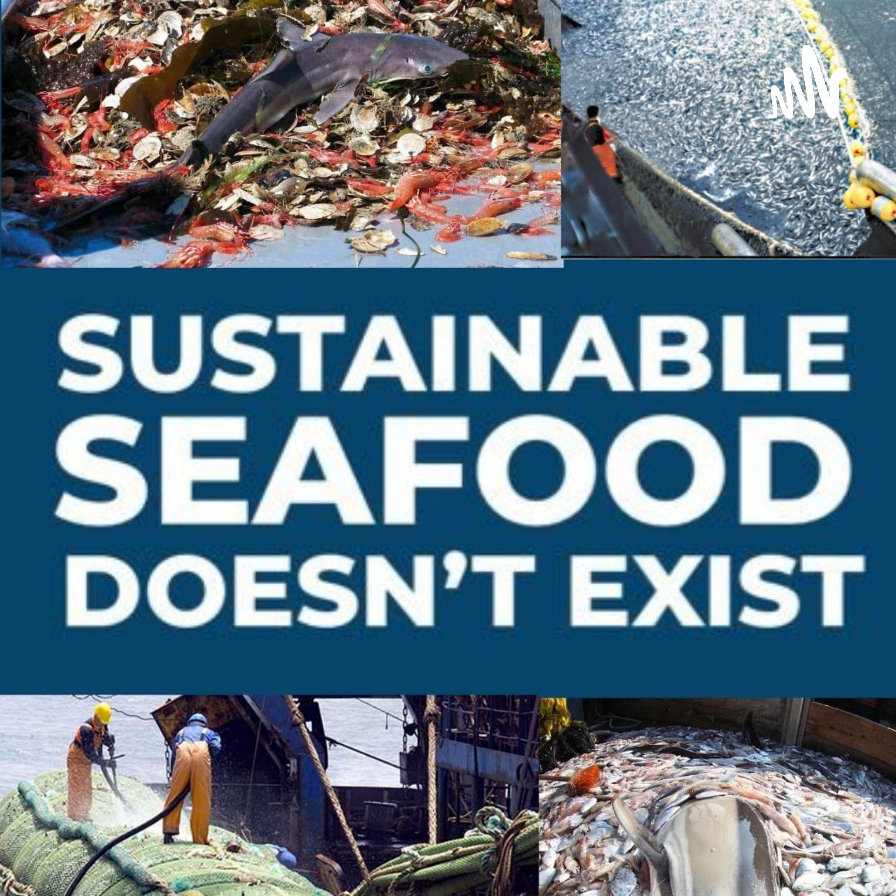 Logo of the podcast Why Should We Ban Commercial Fishing Podcast Why Should We Ban Commercial Fishing