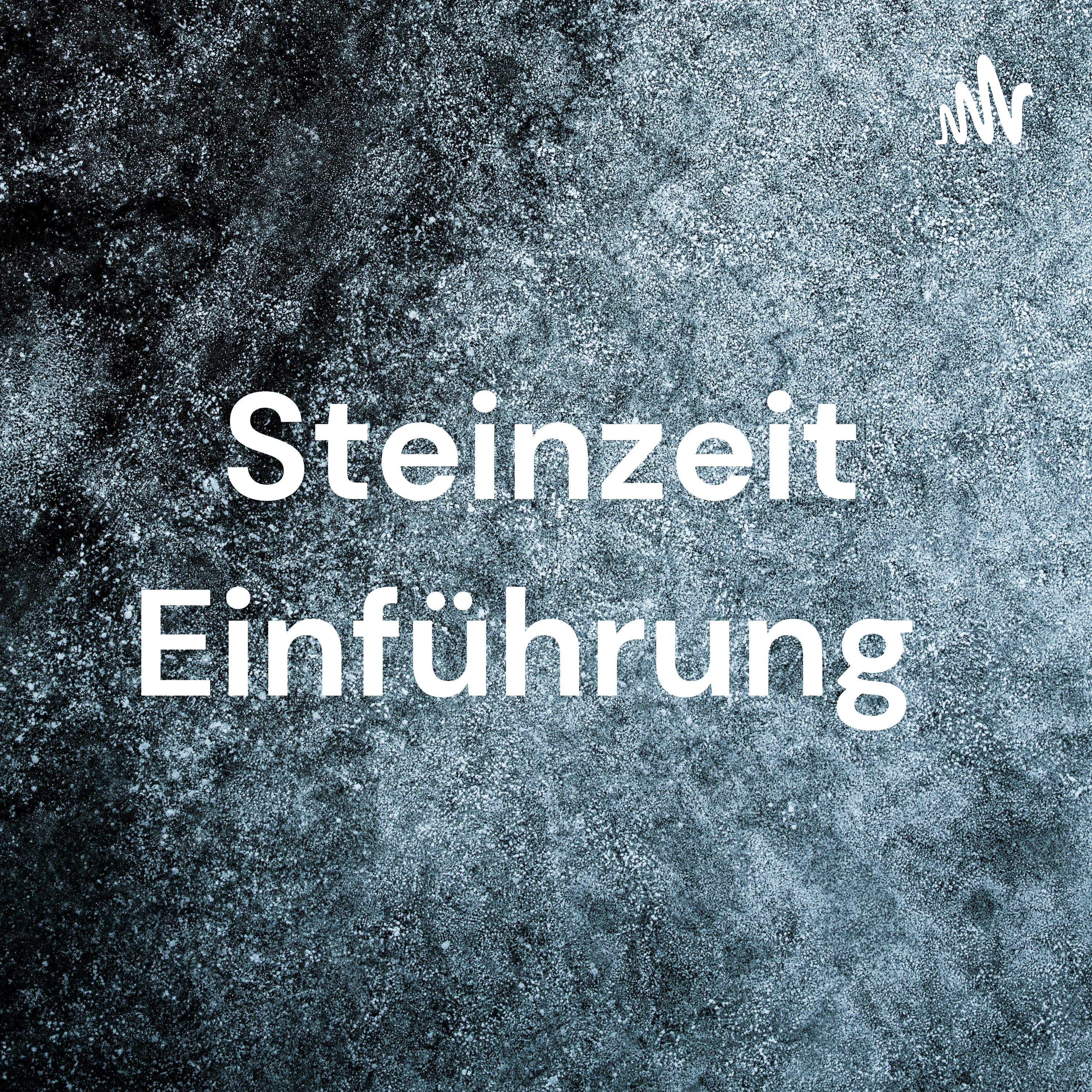Steinzeit Einführung cover art