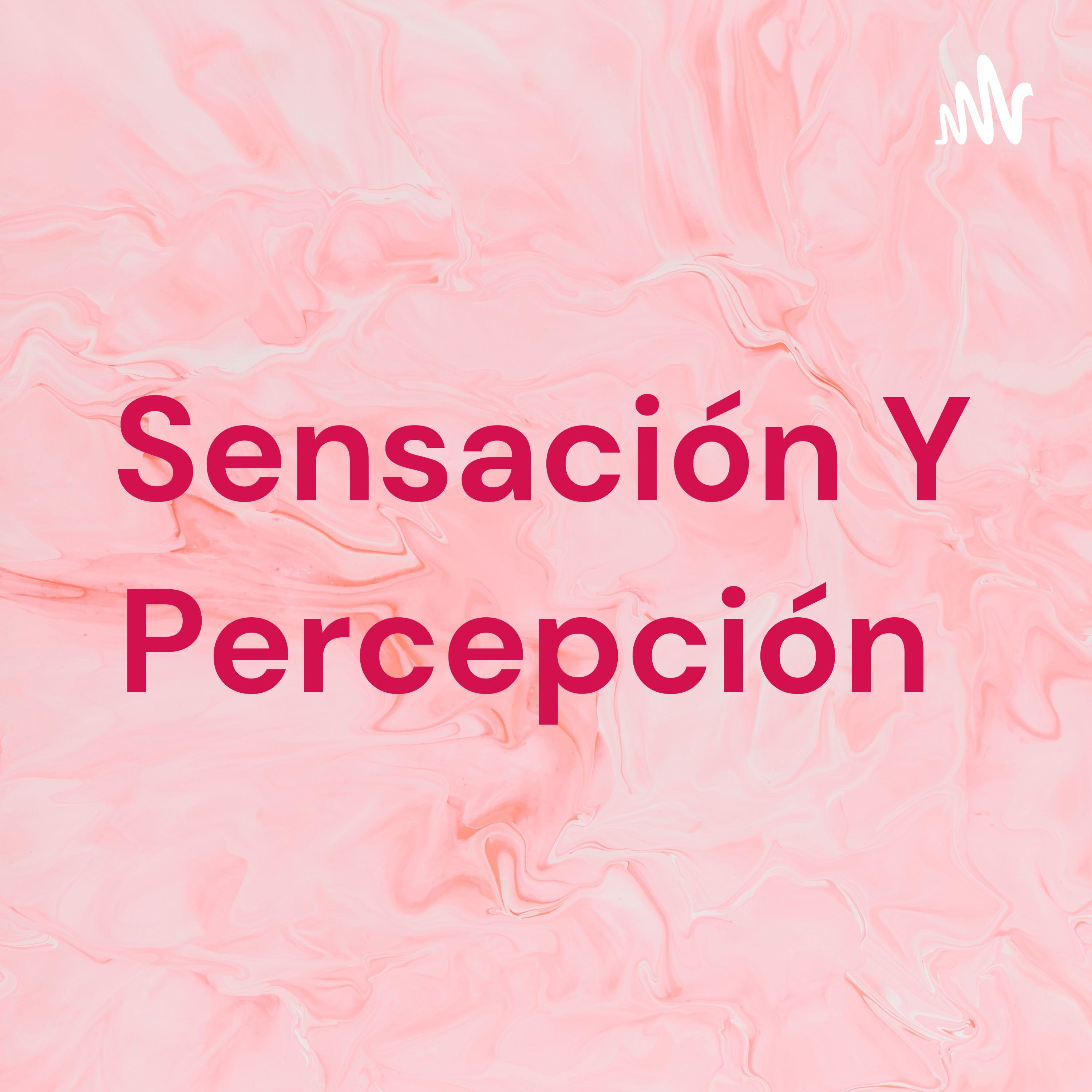 Sensación Y Percepción 