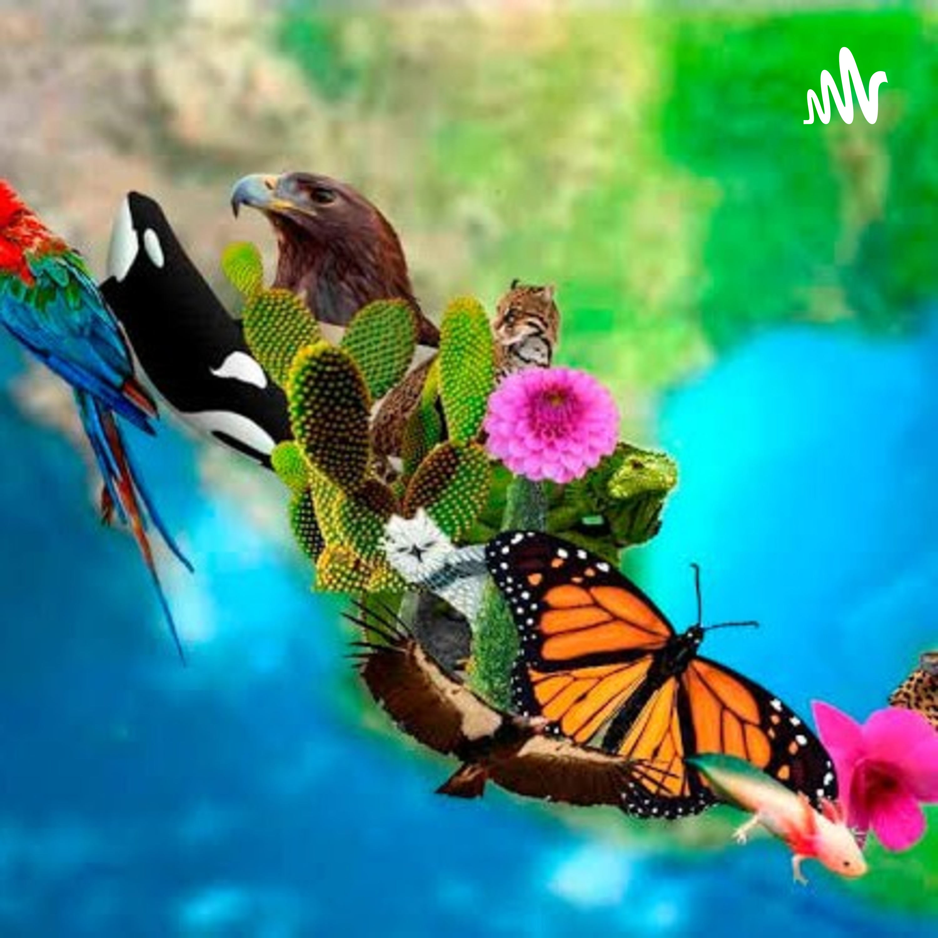 Biodiversidad 