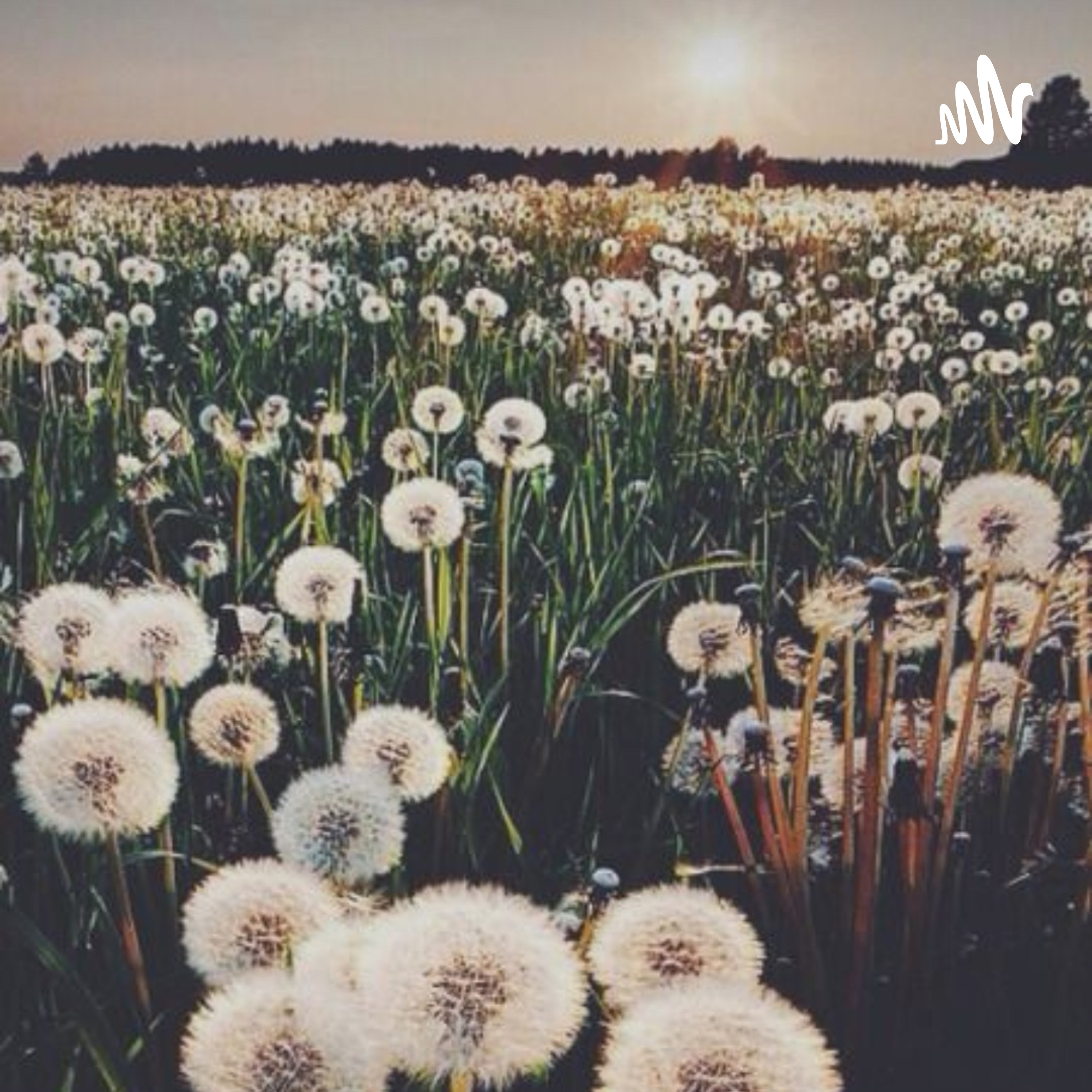 Comunicación Padres/Hijos