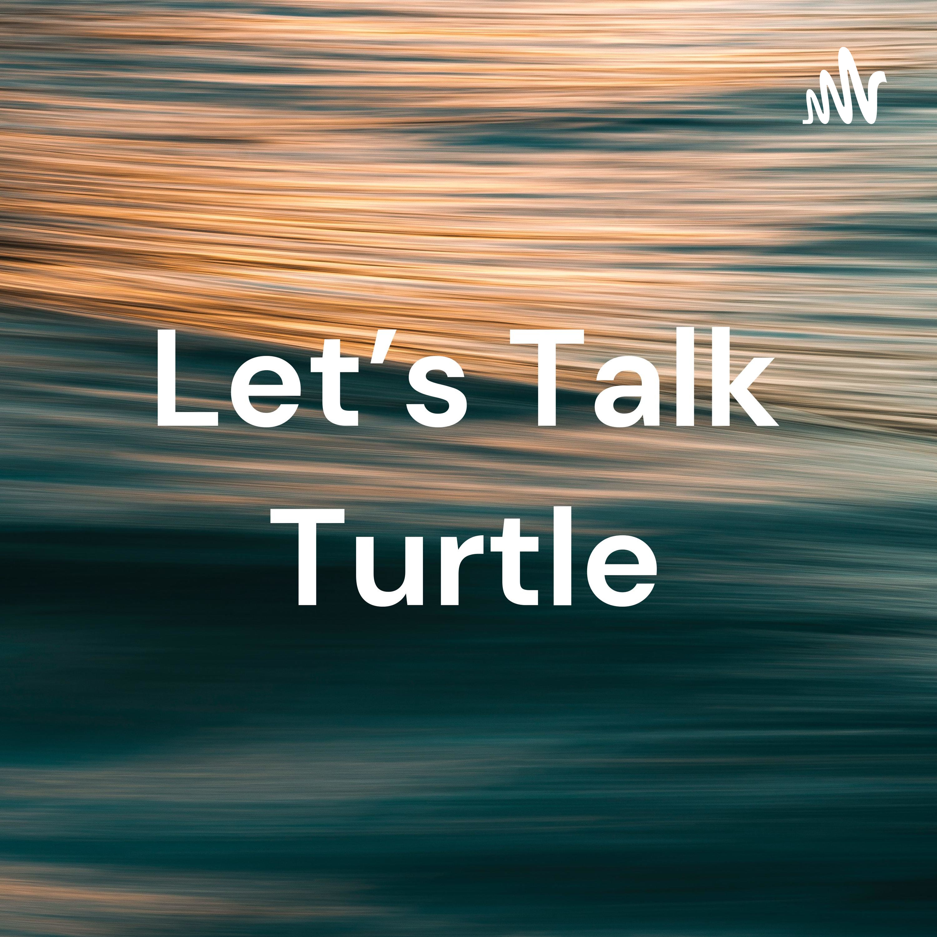 Let's Talk Turtle