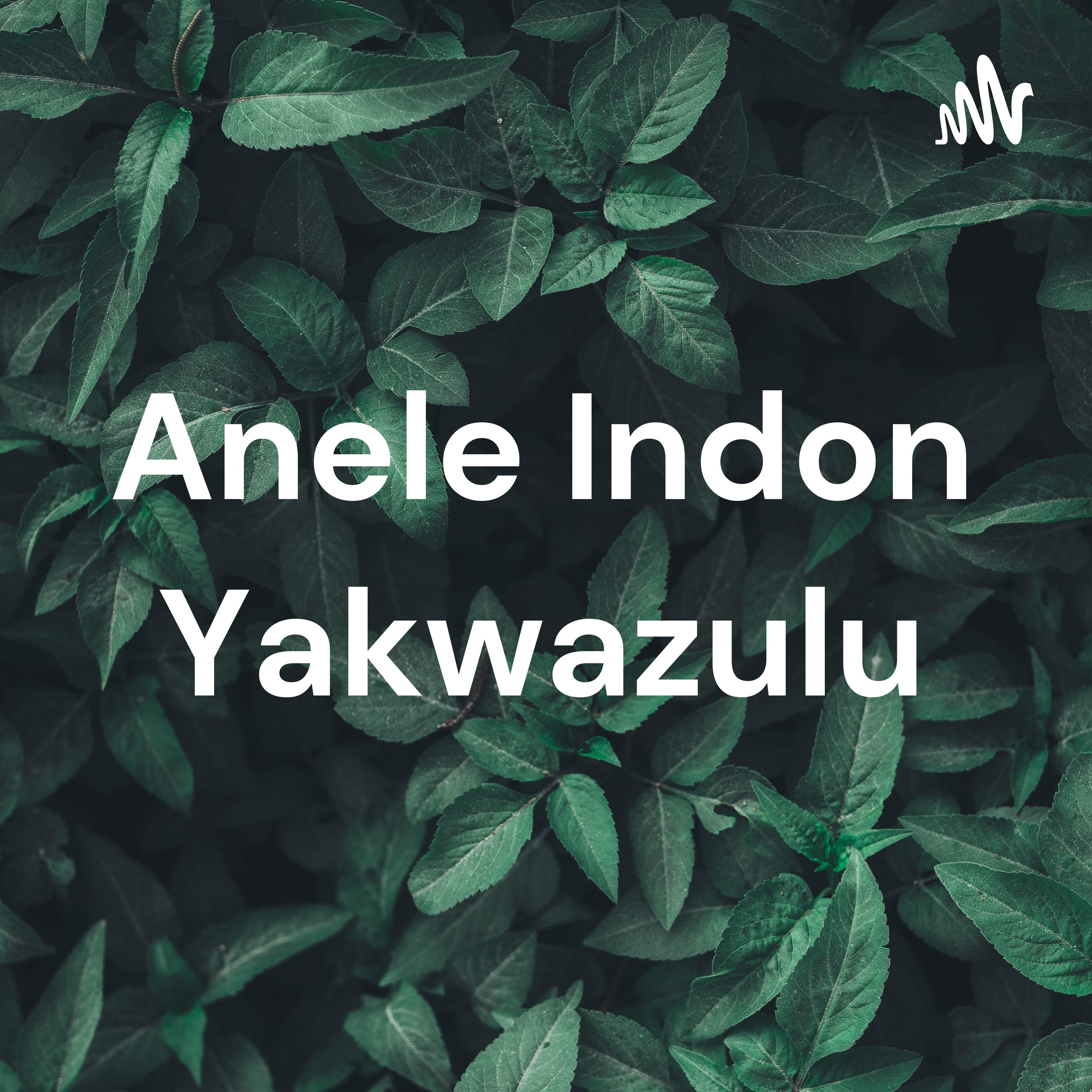 Anele Indon Yakwazulu cover art
