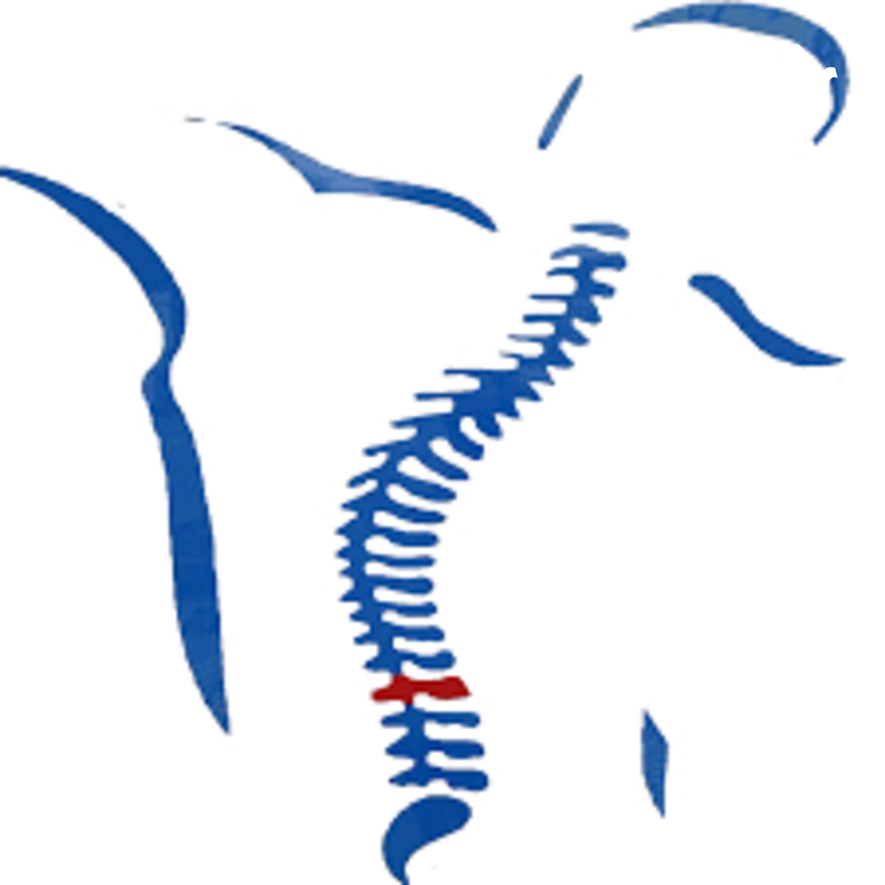 HABLANDO DE FISIOTERAPIA cover art