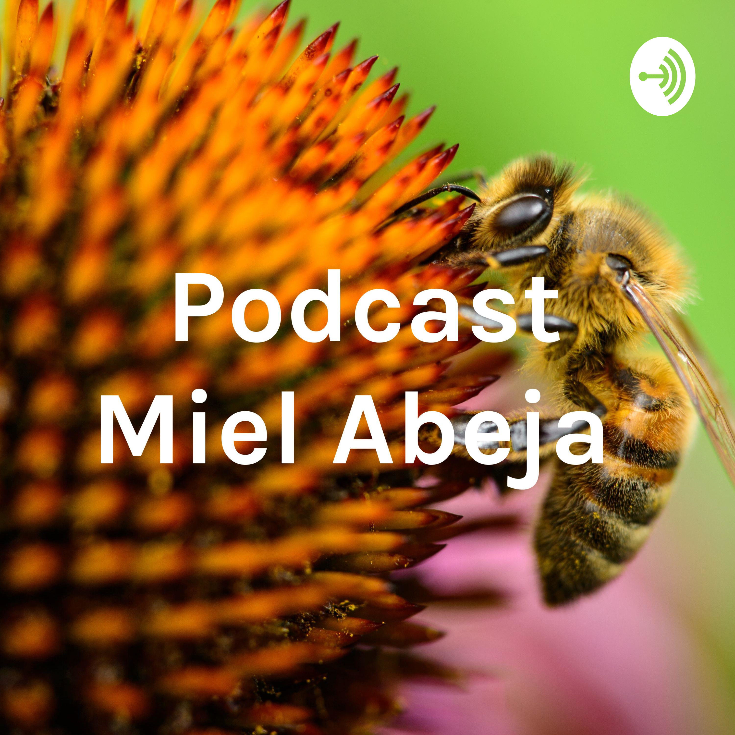 Podcast Miel Abeja 