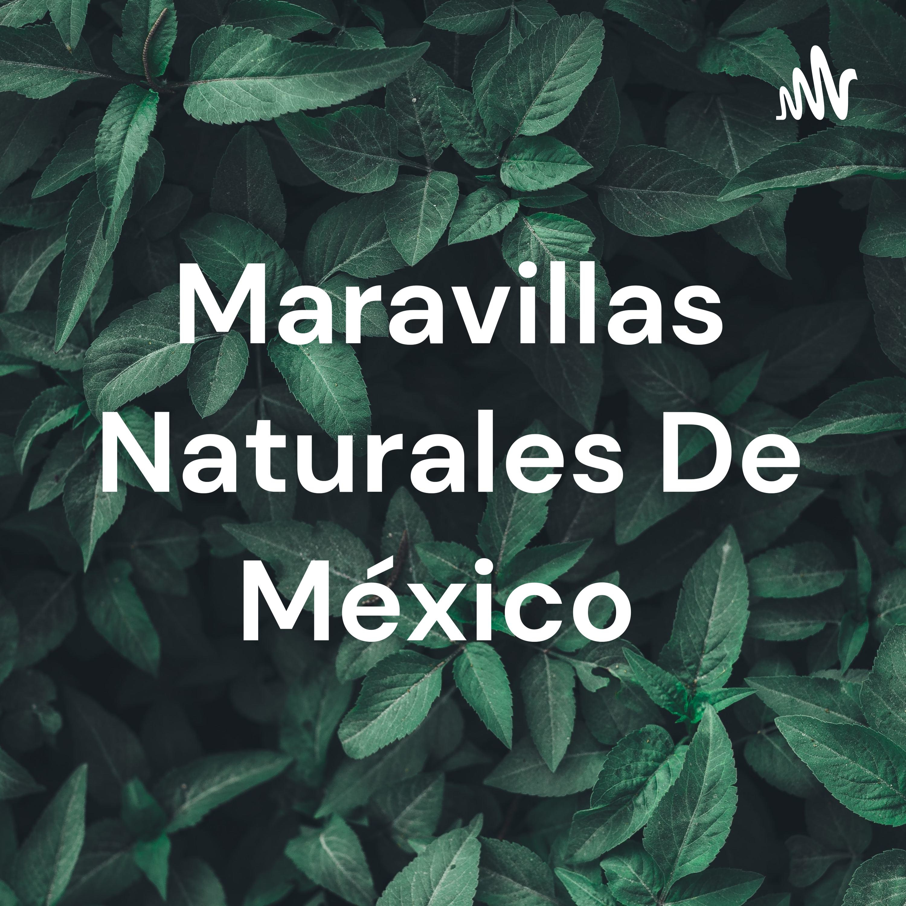 Maravillas Naturales De México cover art
