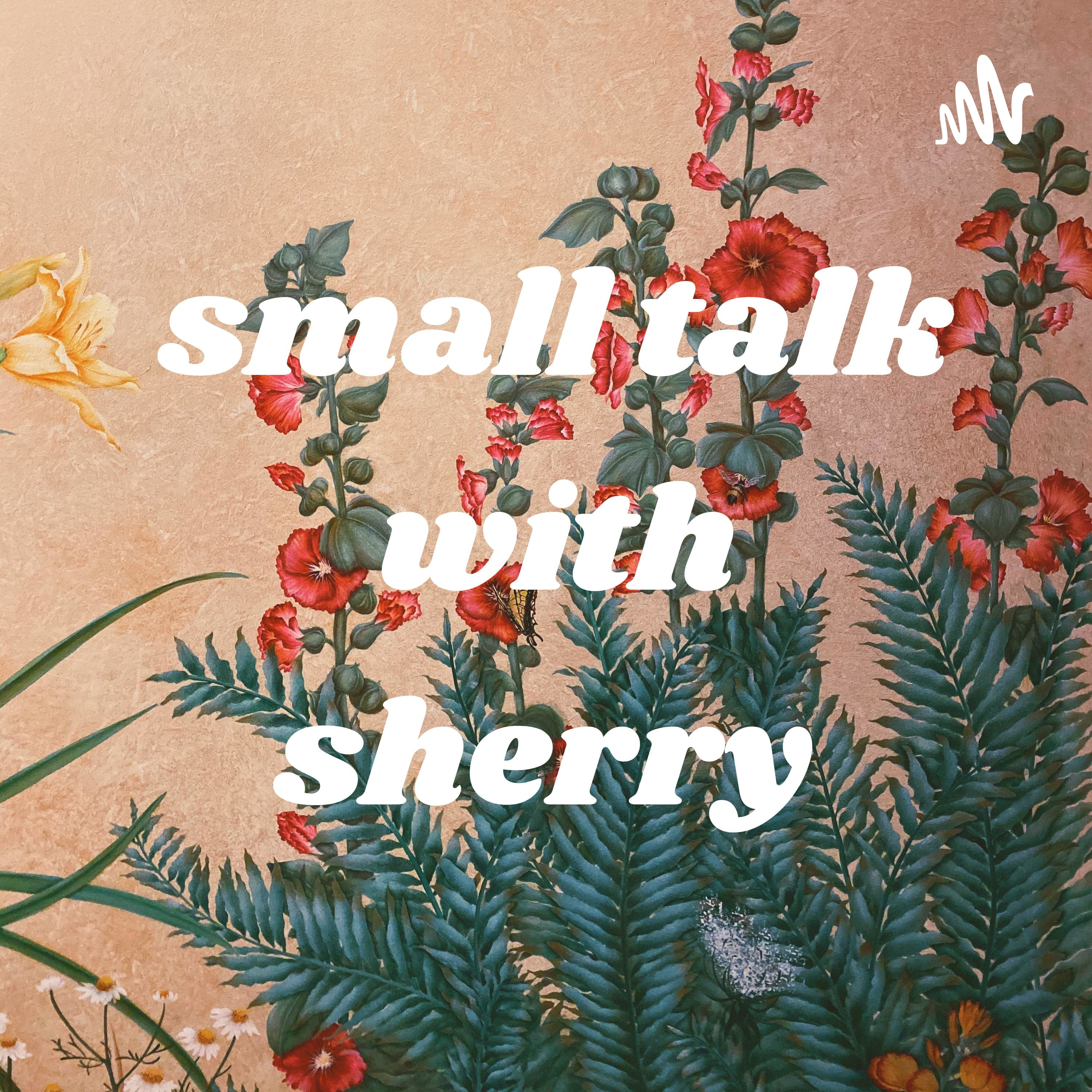small talk with sherry cover art