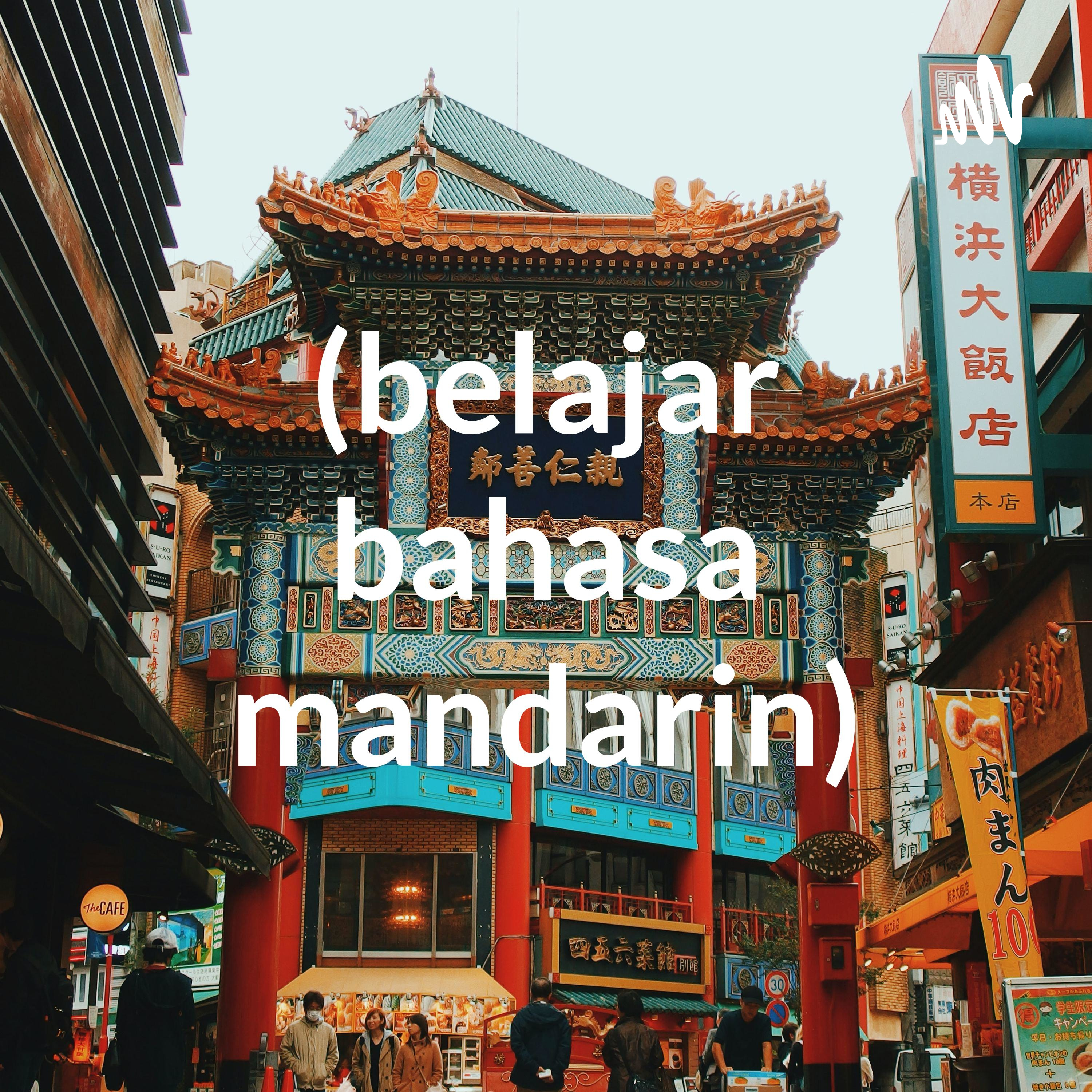 学习中文 (belajar bahasa china)