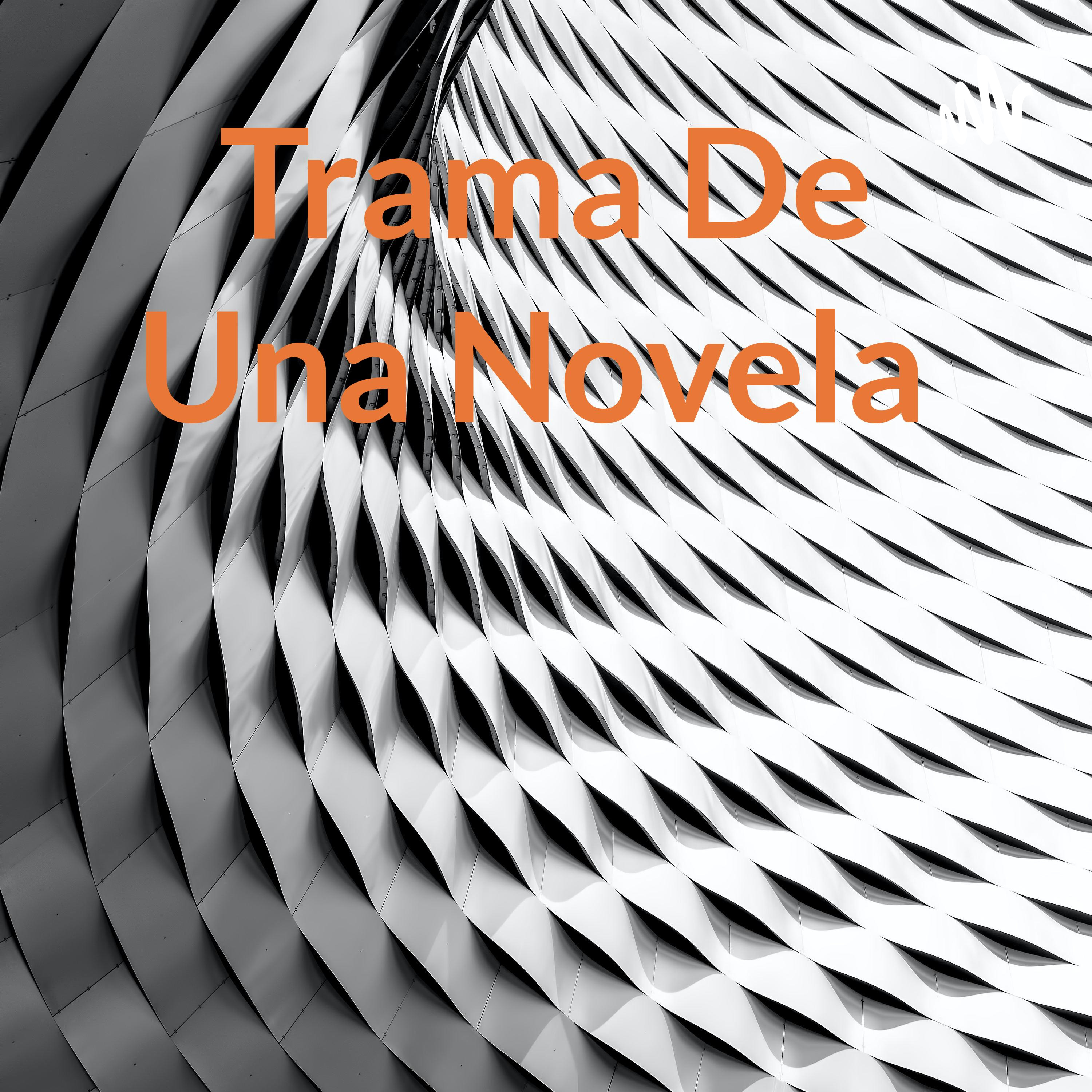 Trama De Una Novela cover art