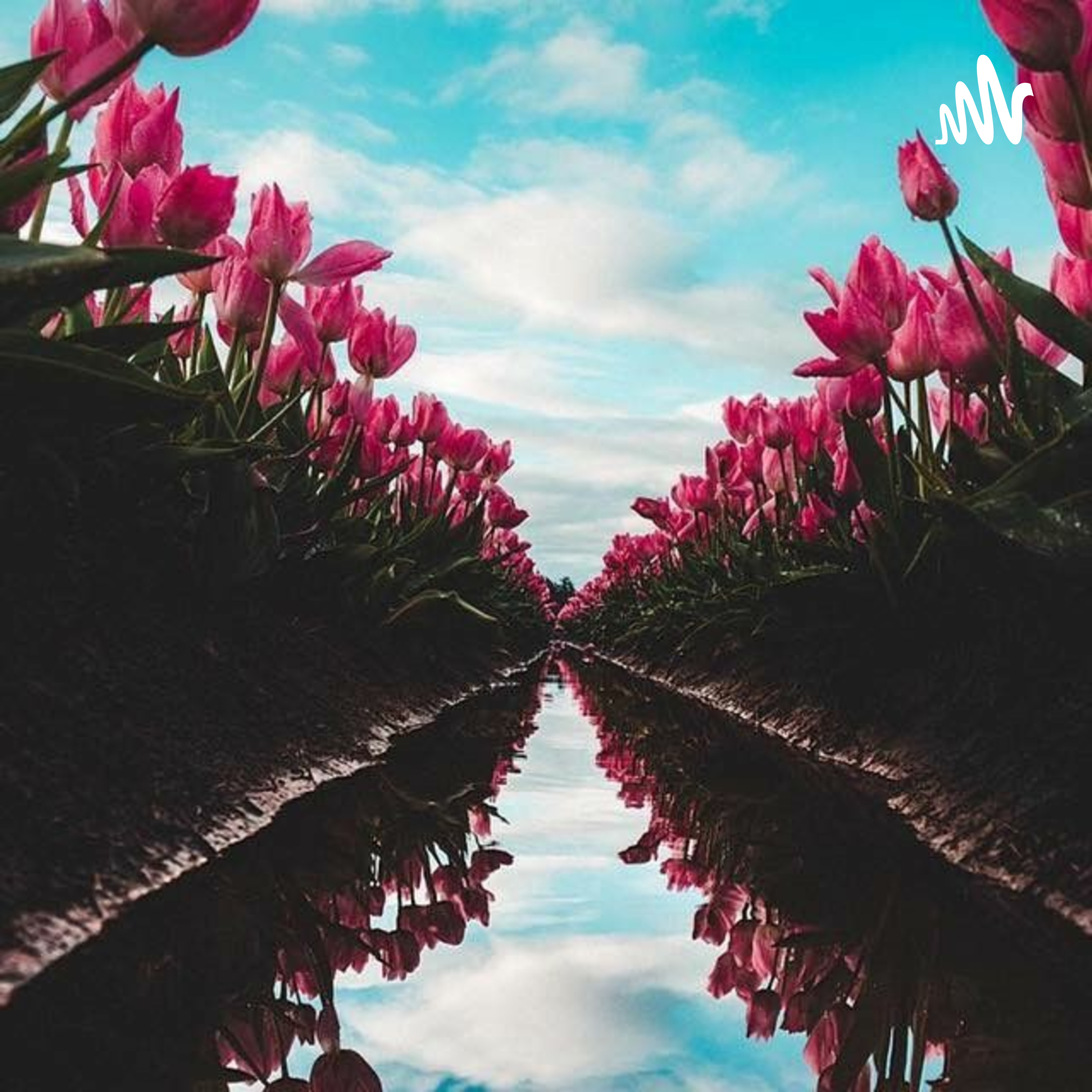 El Cuidado Del Agua cover art