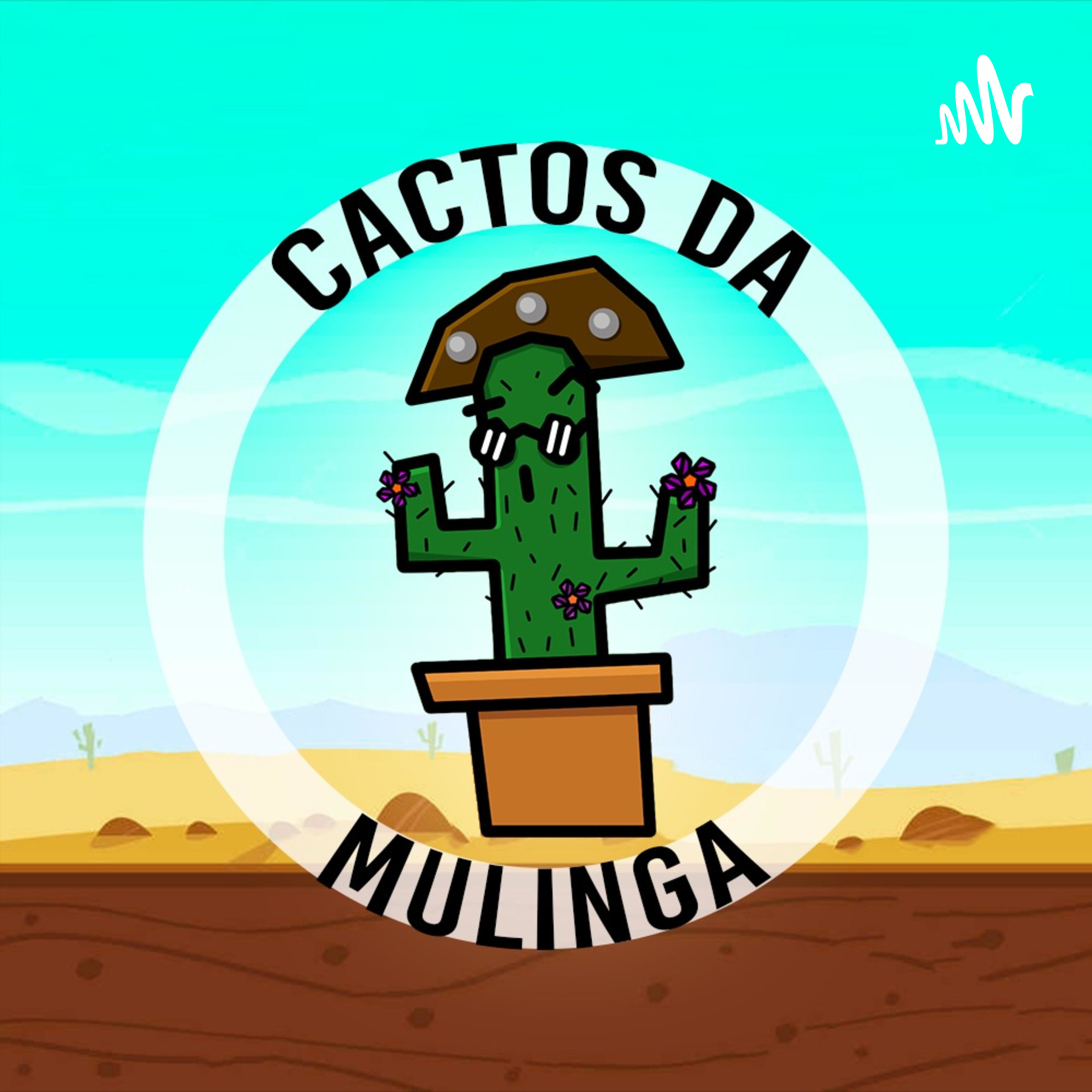 Cactos da Mulinga