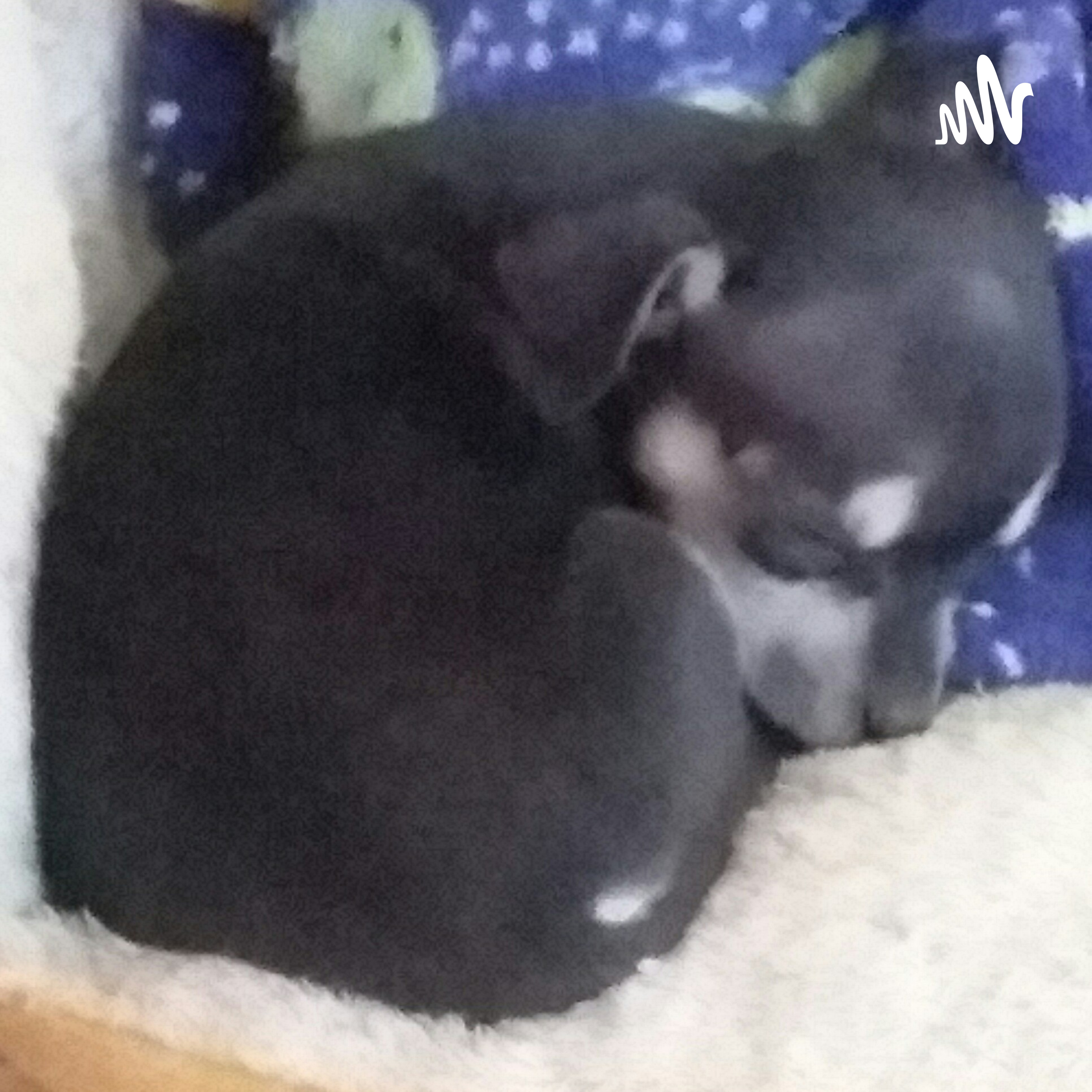 FREESTYLE CREATIVITY cover art