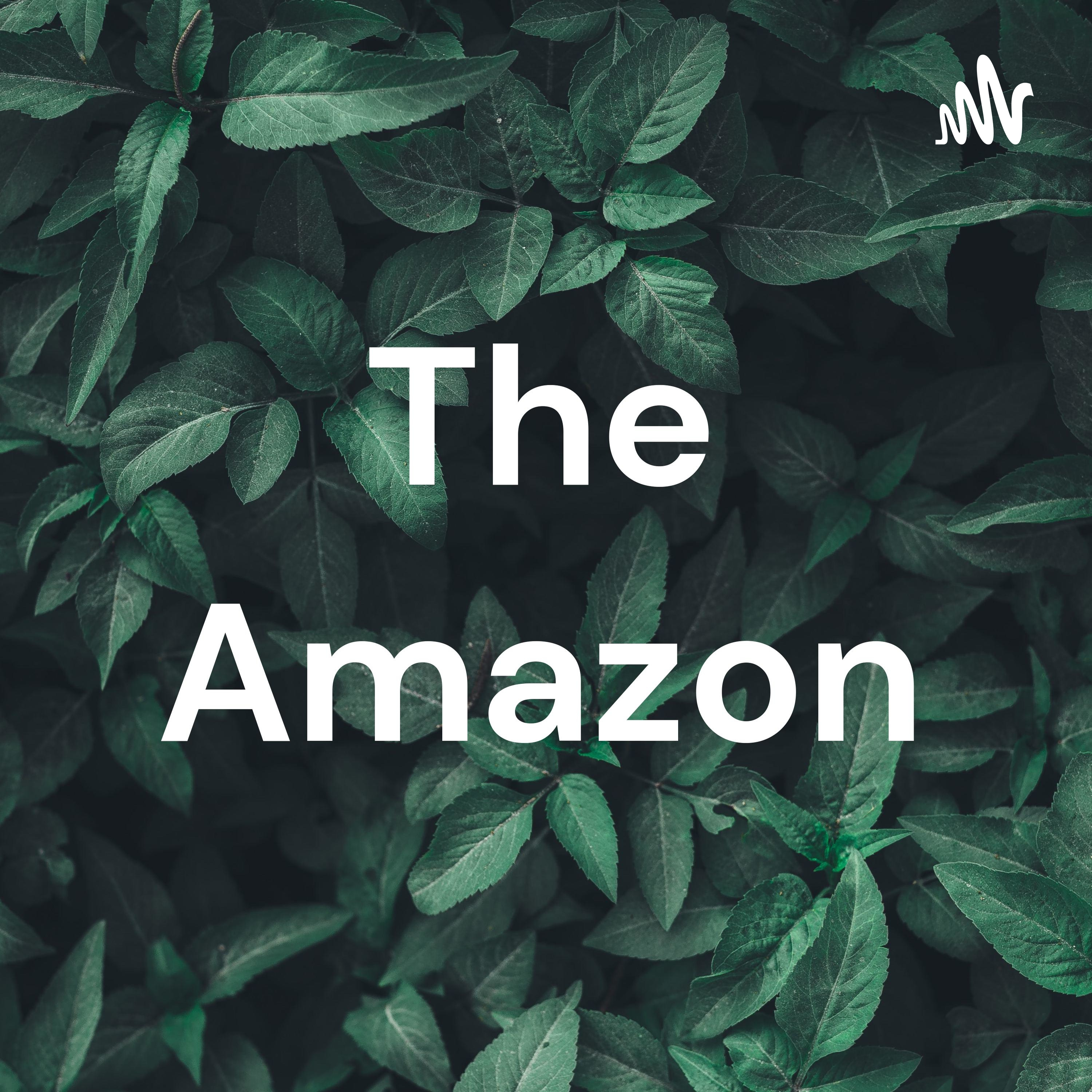 Logo of the podcast The Amazon Podcast The Amazon