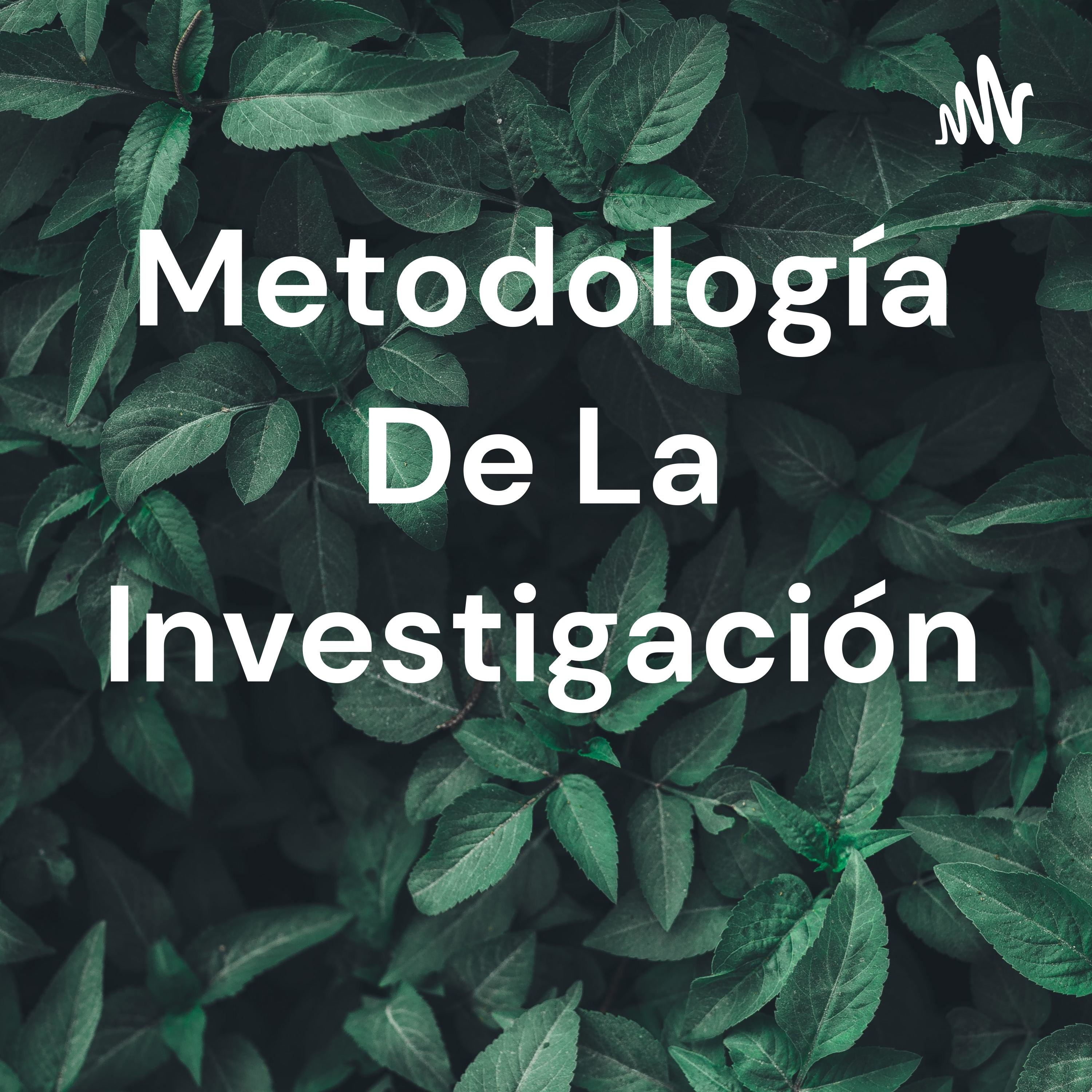 Metodología De La Investigación 